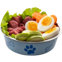 日常膳食管理