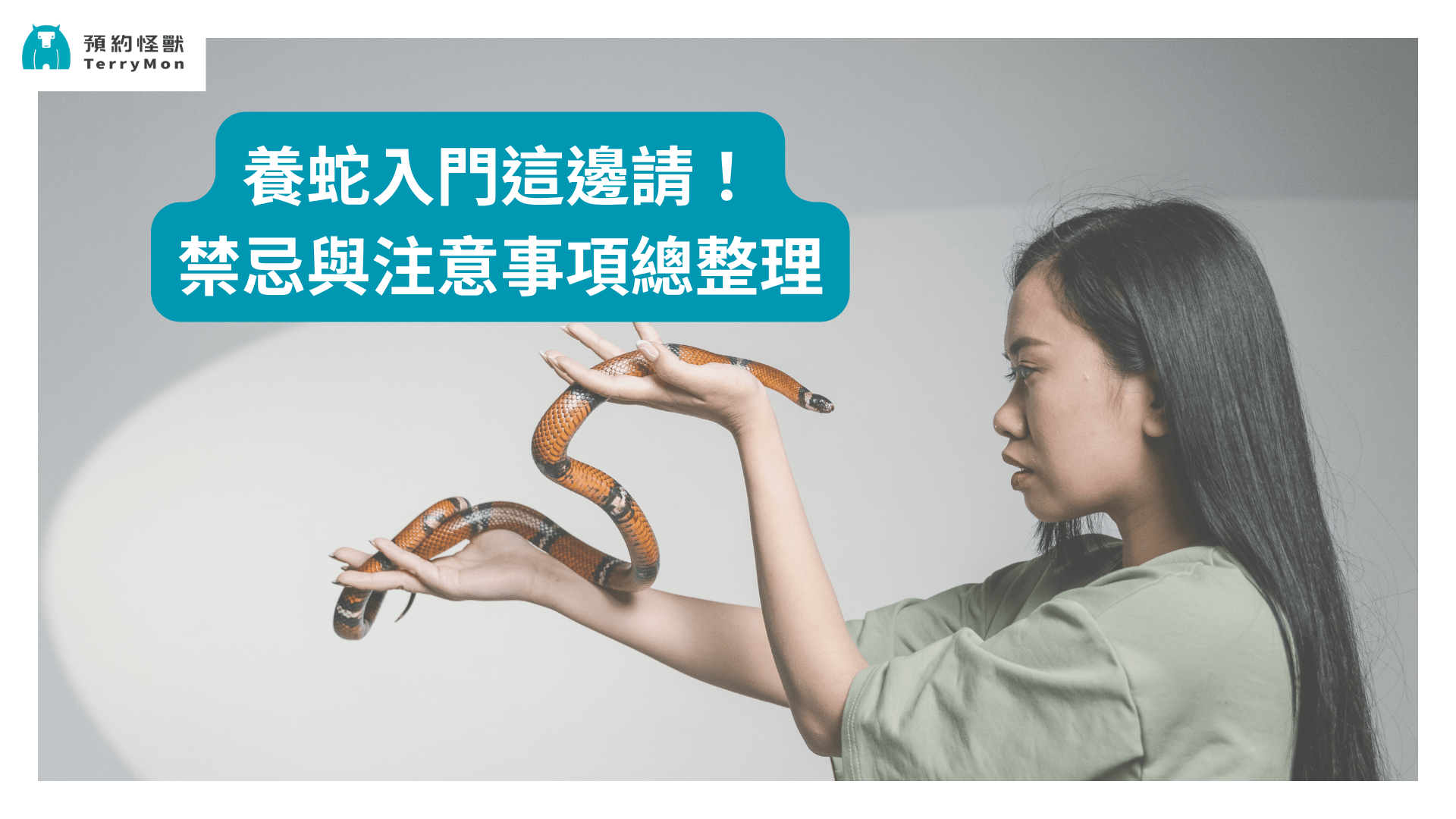 養蛇入門這邊請！養蛇禁忌與注意事項總整理