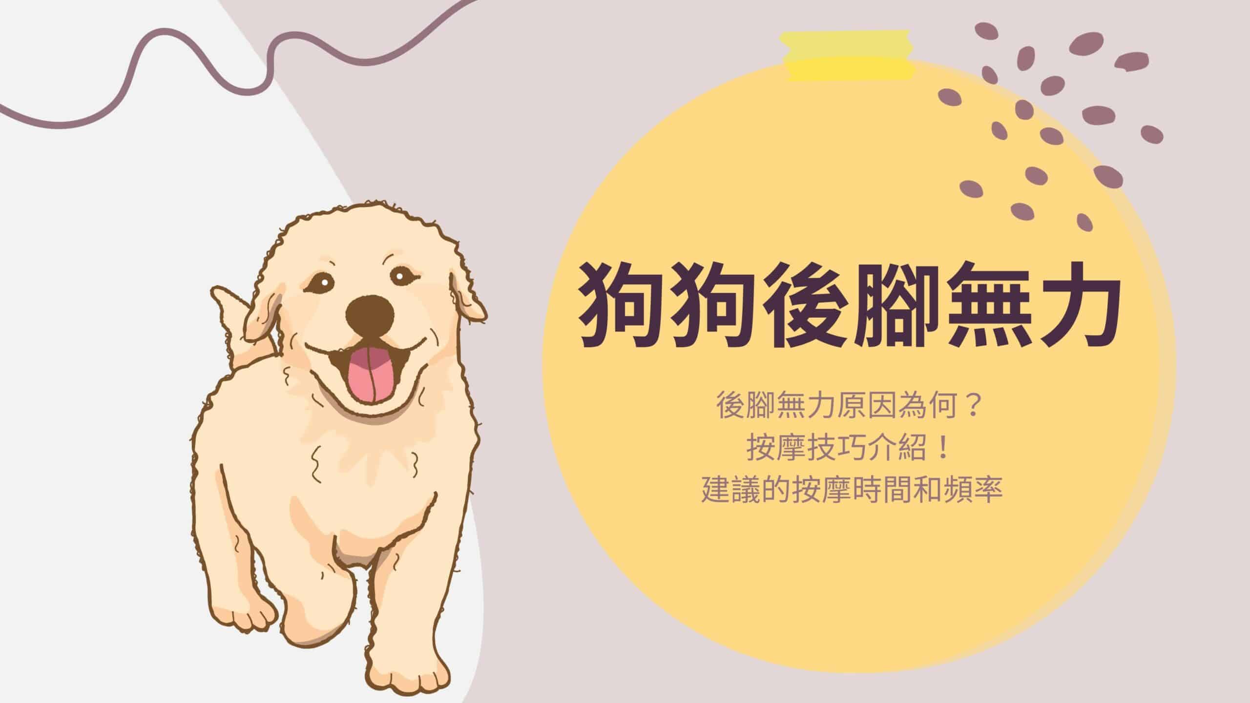 狗狗為什麼會後腳無力？該怎麼辦？這個按摩技巧學起來幫助狗狗緩解！