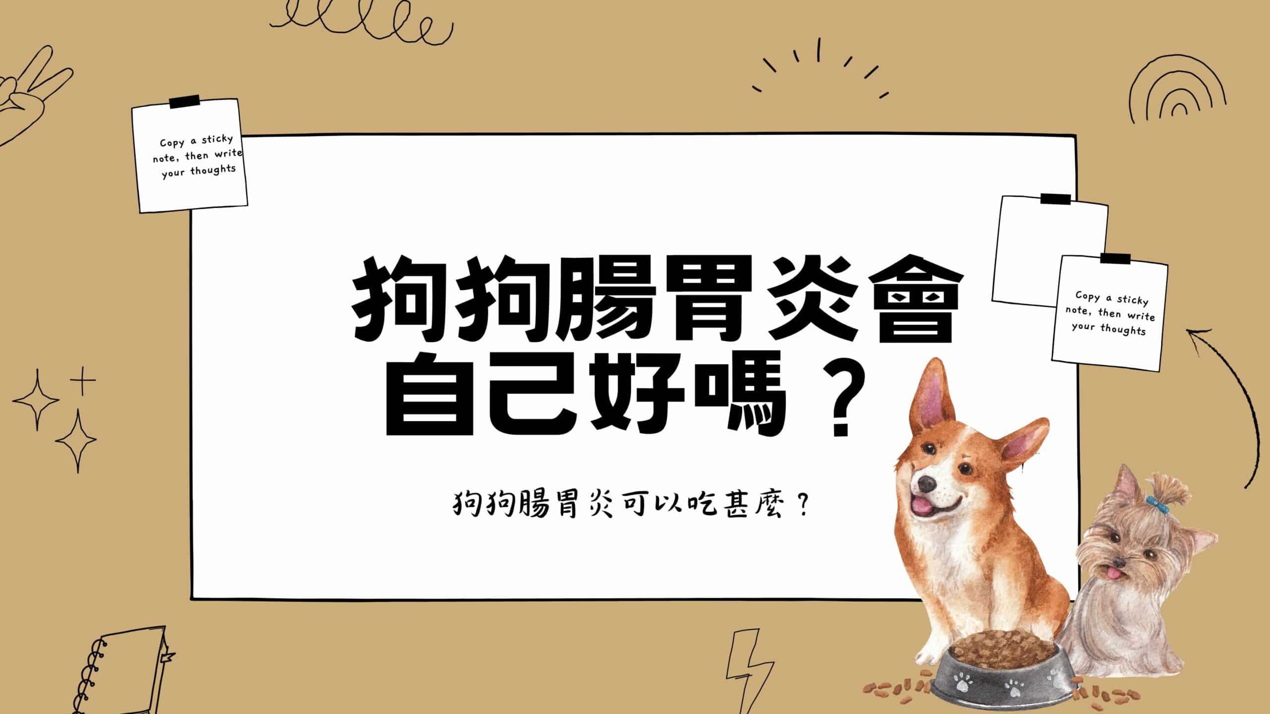 狗狗腸胃炎會自己好嗎？快速了解狗狗腸胃炎的症狀、治療及照顧指南！