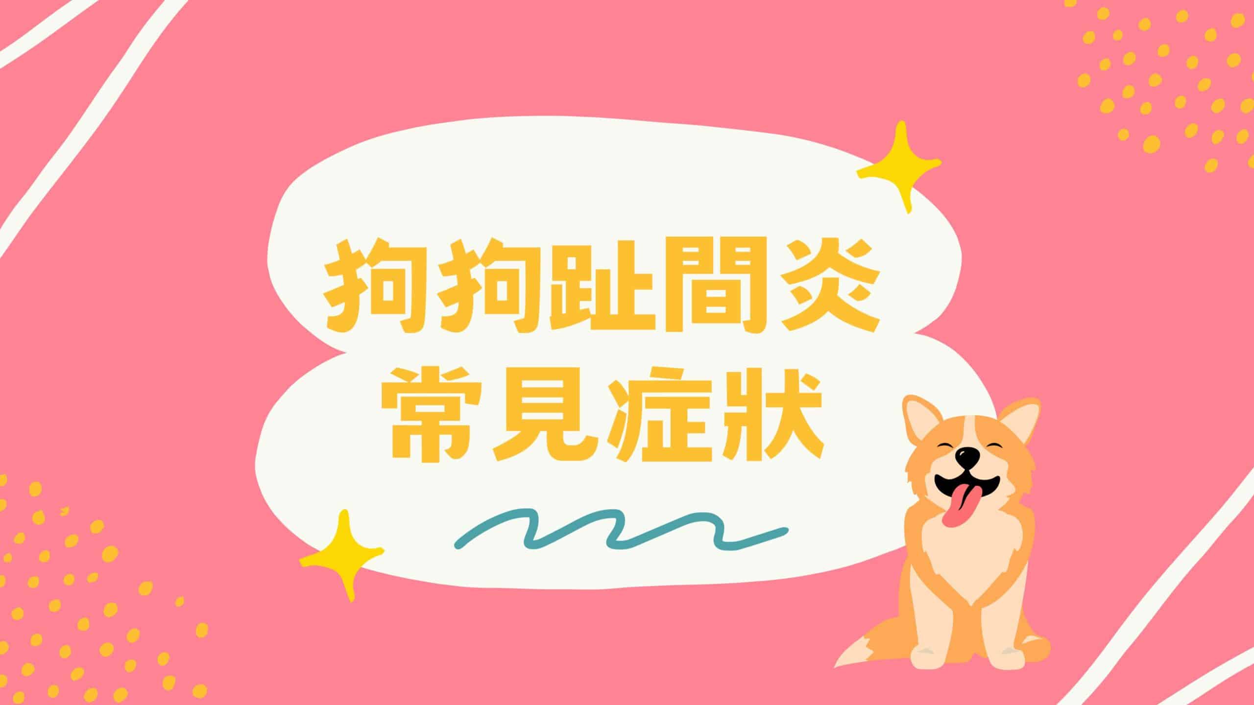 為什麼狗狗會一直舔腳趾？認識狗狗趾間炎的治療及照顧方式