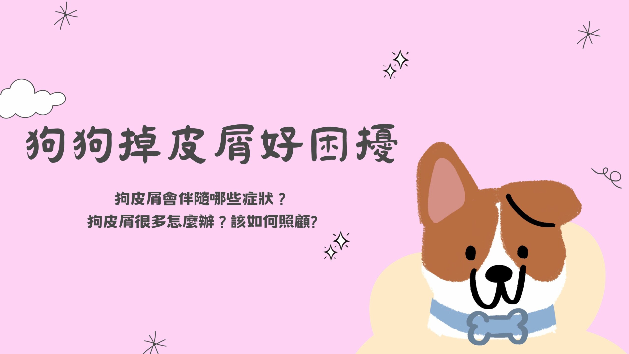 探索狗皮屑問題：症狀、原因及全面照顧指南