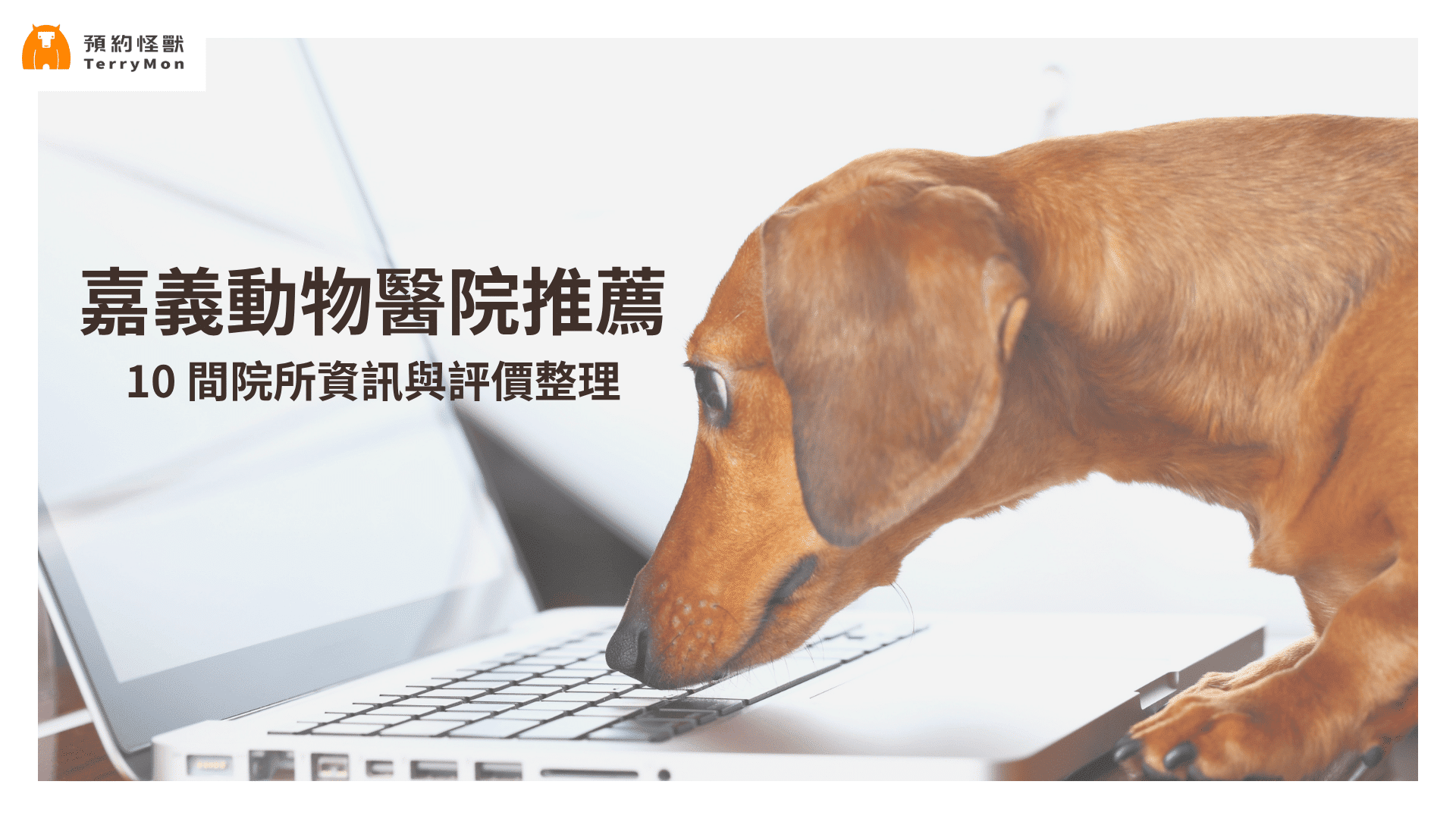 嘉義動物醫院推薦！10 間精選院所資訊與評價總整理