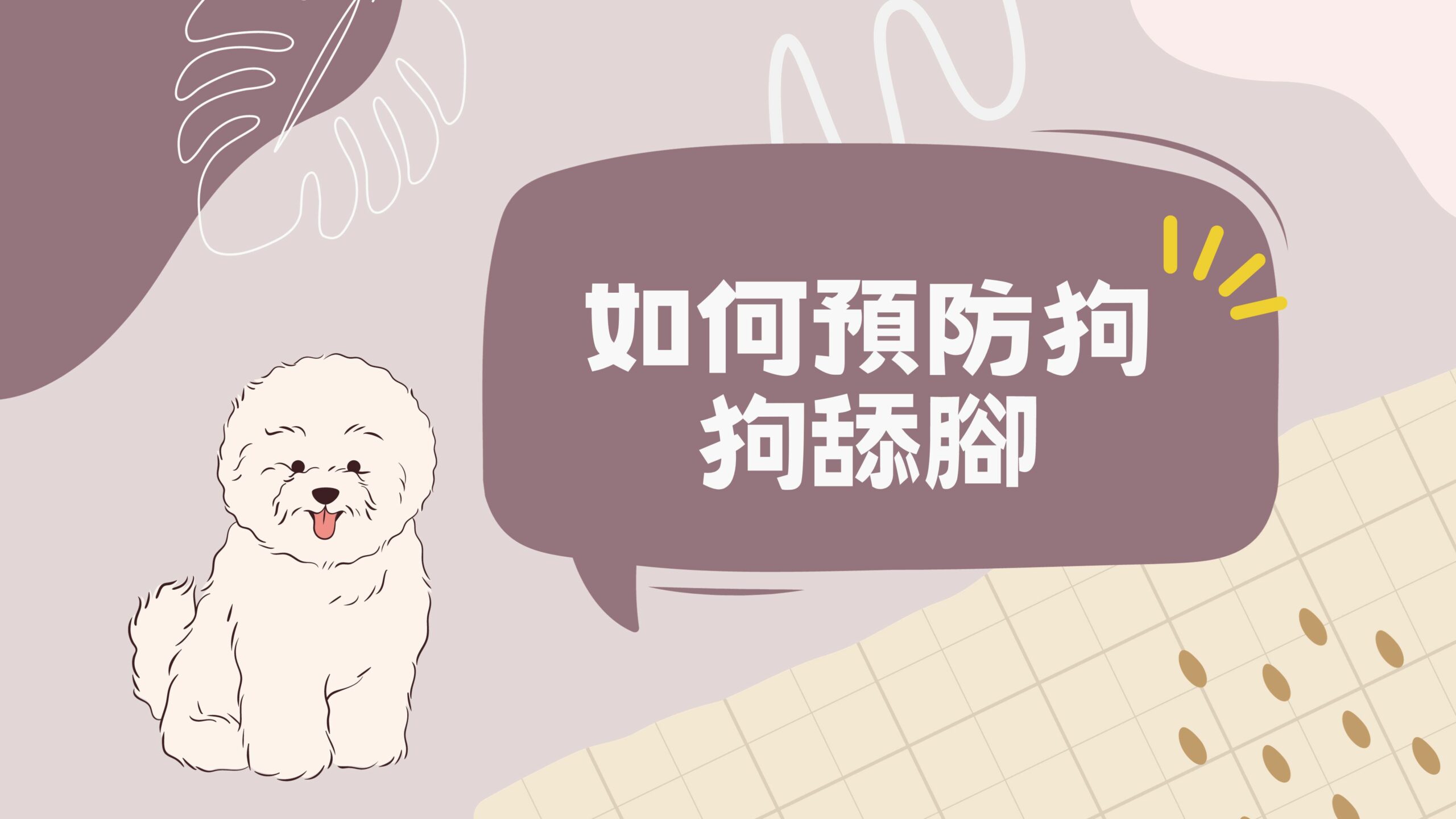 寵物日常｜狗狗舔腳之趾間炎篇