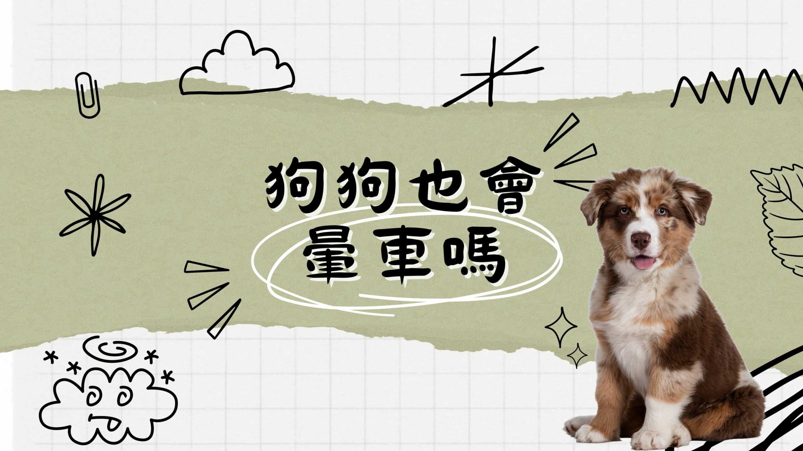 寵物日常｜小狗暈車篇