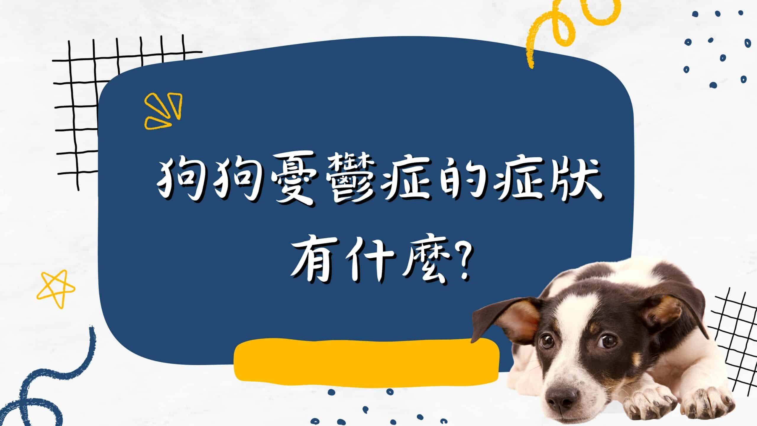 狗狗情緒低落竟有可能是憂鬱症找上門？ 一篇帶你釐清狗狗憂鬱症的原因、表現、陪伴方式！