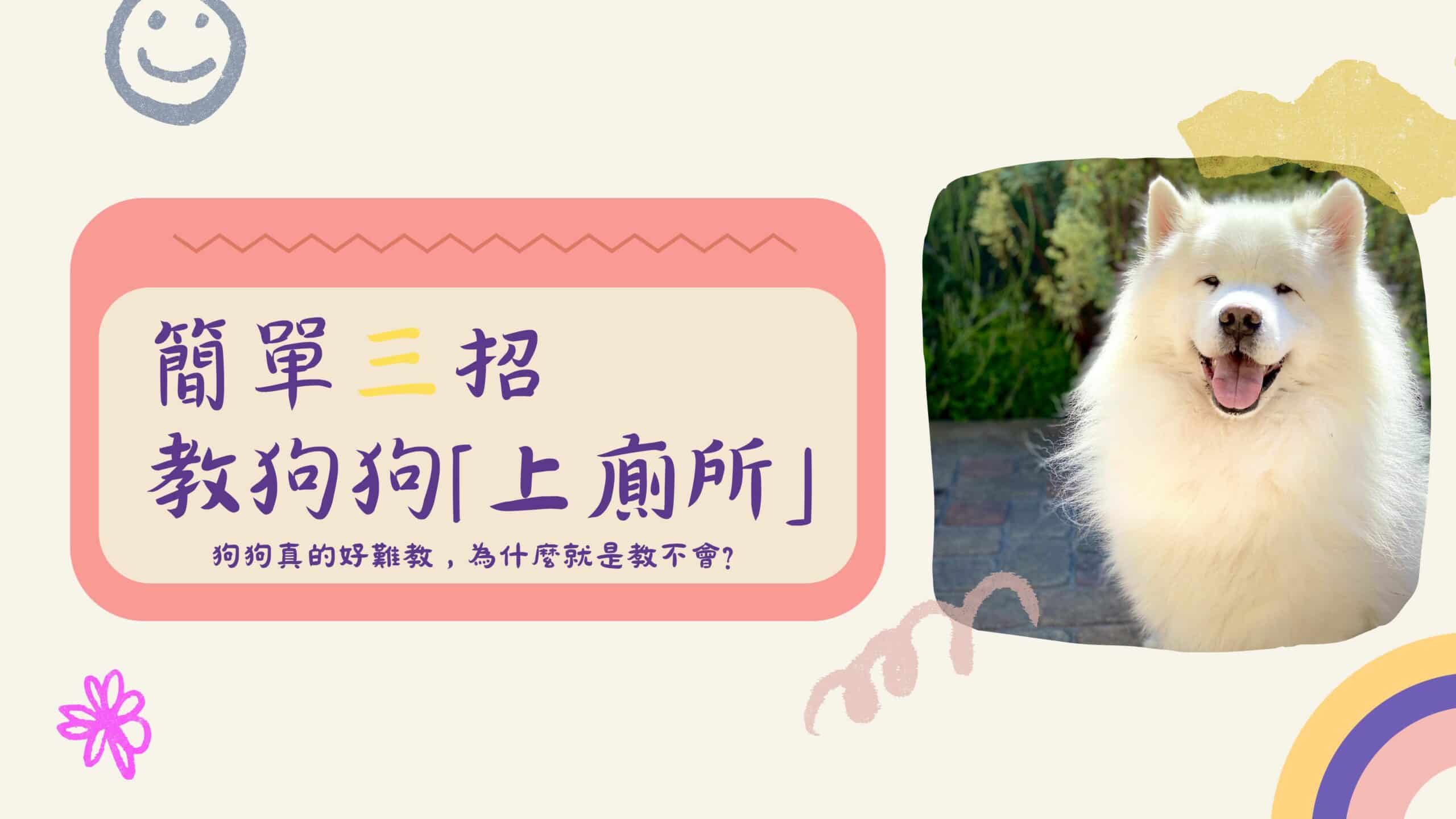 無痛教狗上廁所不是夢！想讓狗狗學會定點上廁所 你需要掌握的5個原則