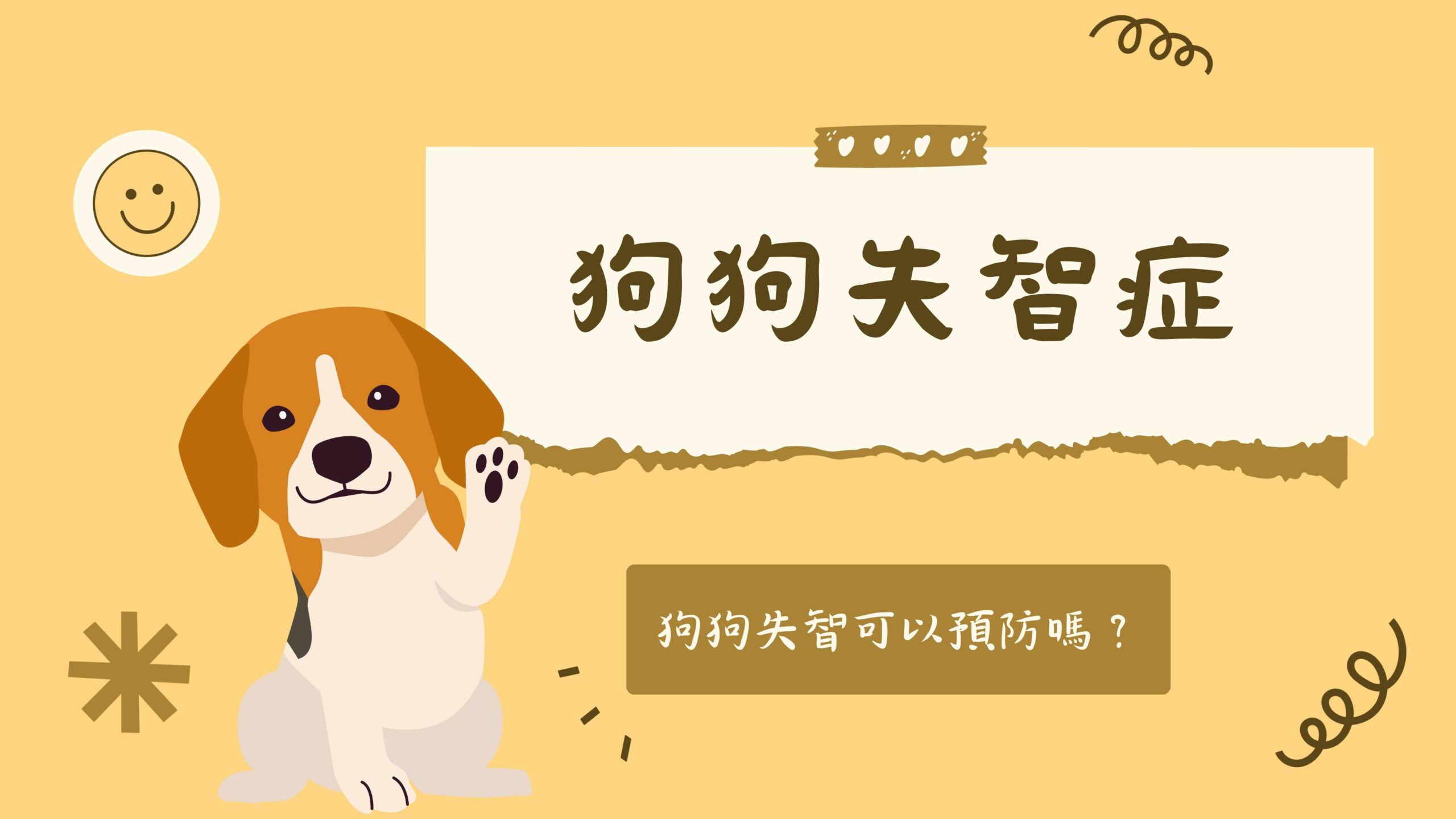 狗狗也會失智！注意這些症狀，陪伴狗狗也能提早預防
