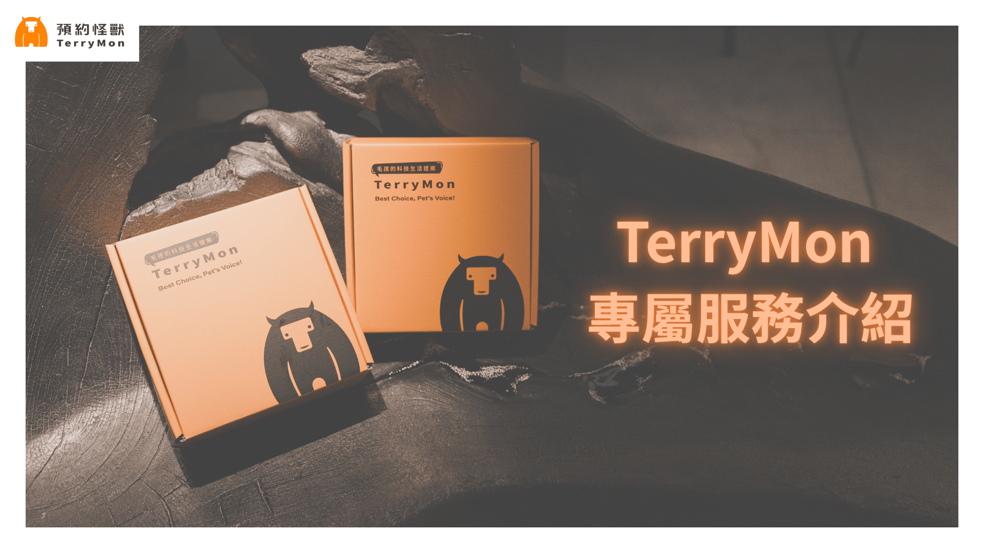 TerryMon 預約怪獸服務總整理！這幾個專屬服務你體驗過了嗎？