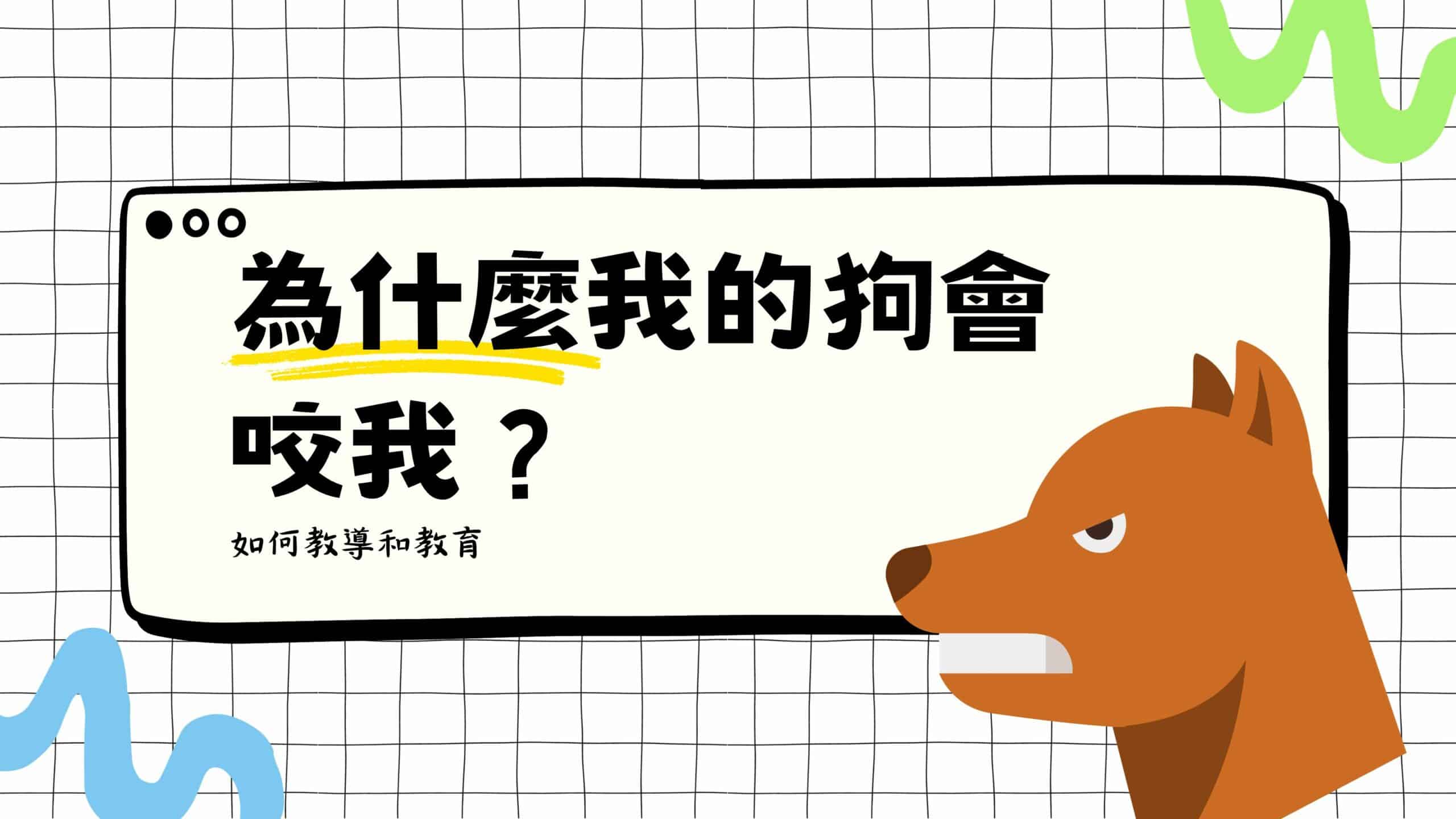 好痛！為什麼我的狗會咬人？訓犬師說是被寵壞了？！