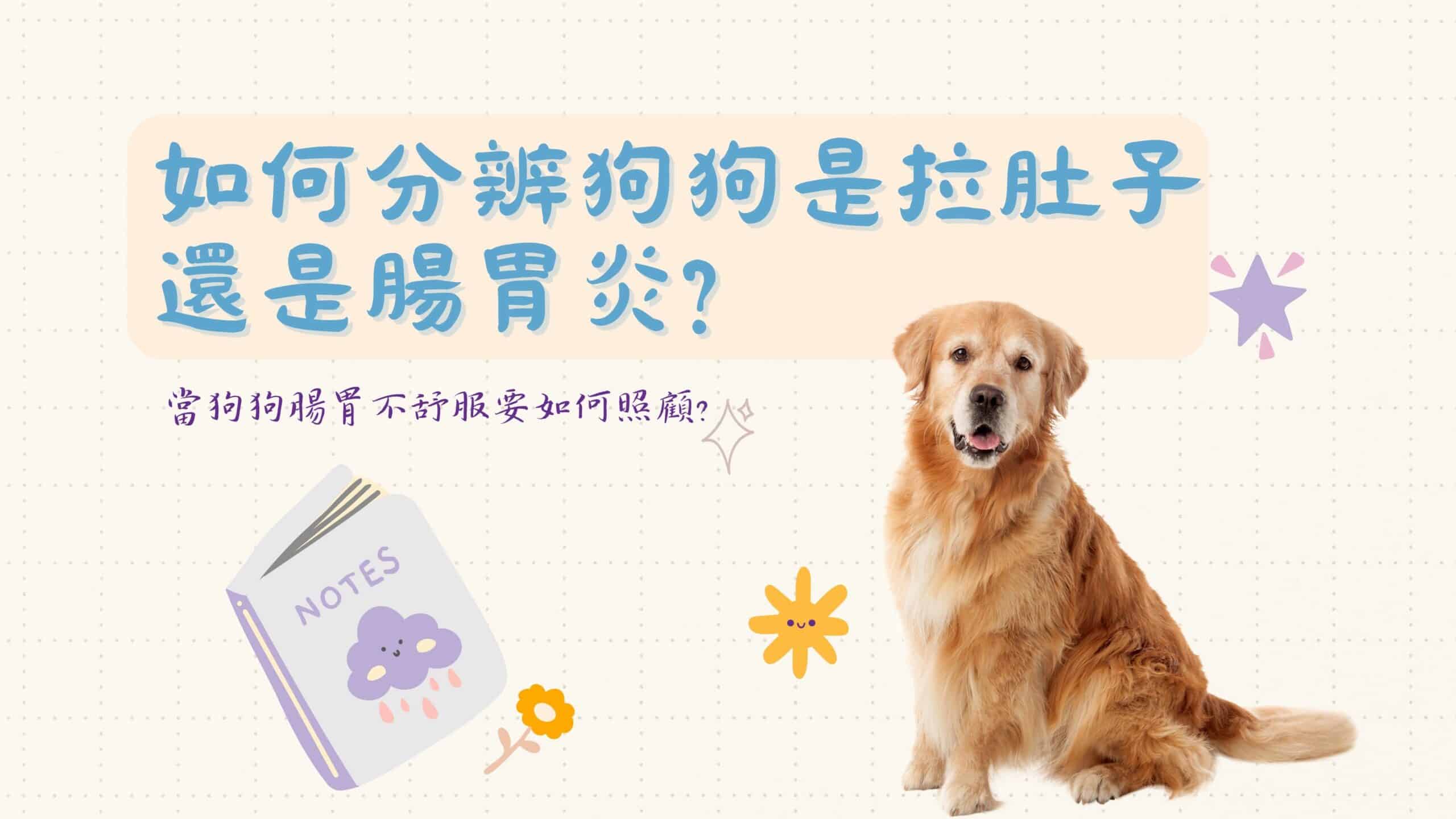 狗狗為什麼會拉肚子？該怎麼辦？用益生菌照顧好狗狗的腸胃！