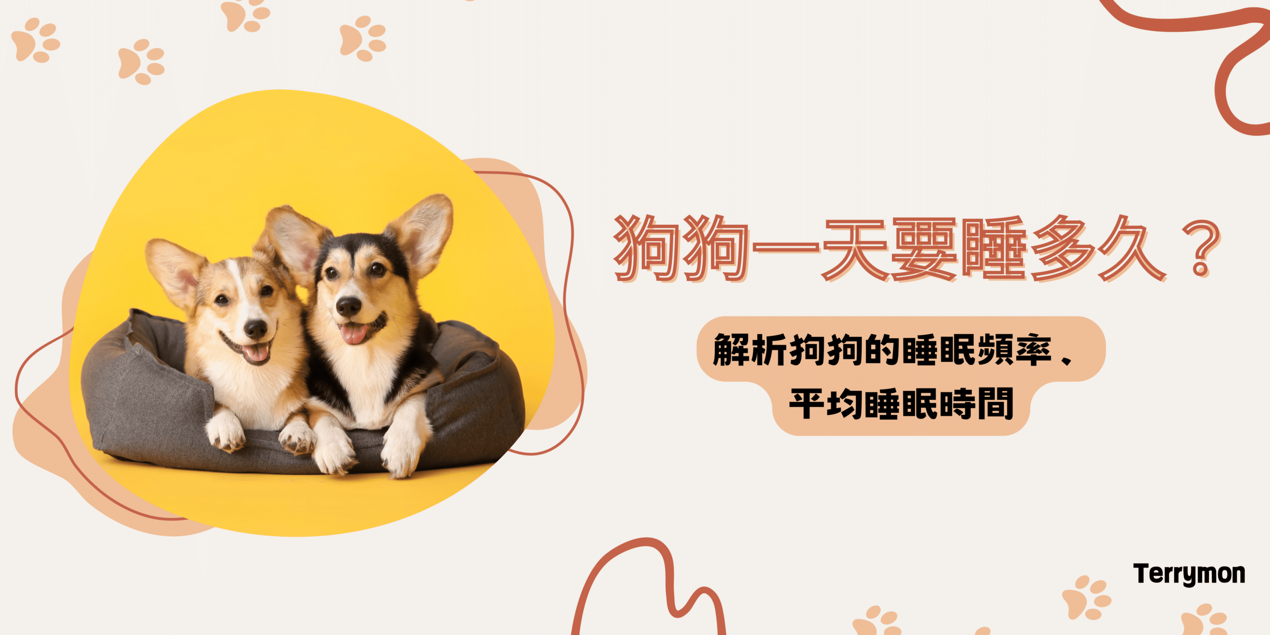 解析狗狗的睡眠頻率、平均睡眠時間，讓毛孩睡得又香又甜！