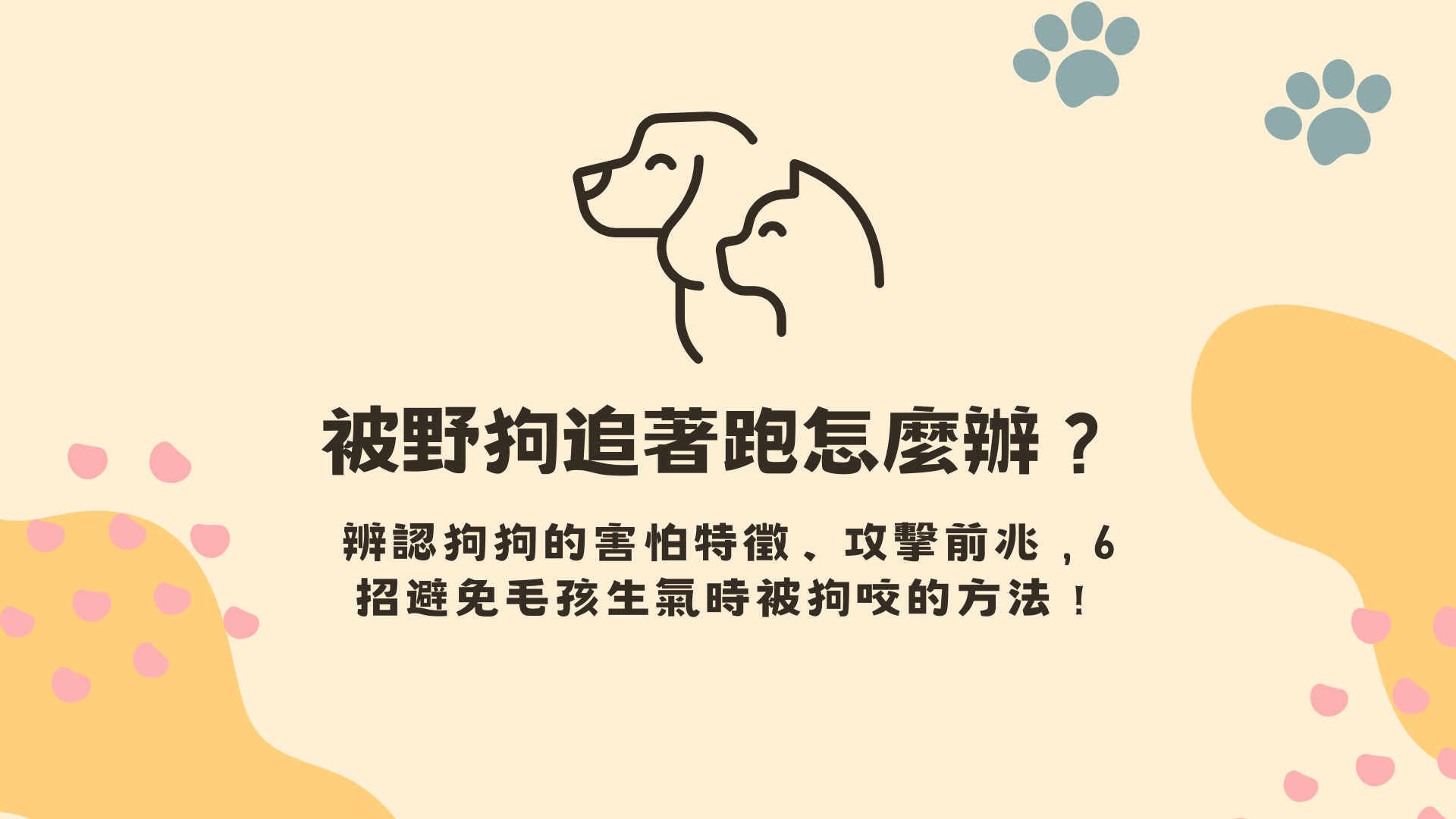 被野狗追著跑怎麼辦？6招避免毛孩生氣時被狗咬的方法！