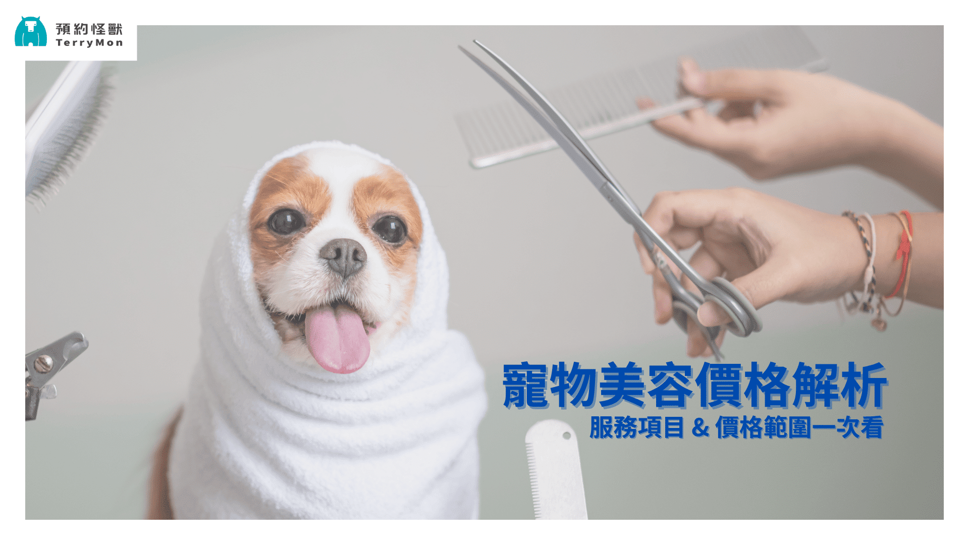 【寵物美容價格整理】洗澡、修剪、造型服務項目與價格範圍大解析！