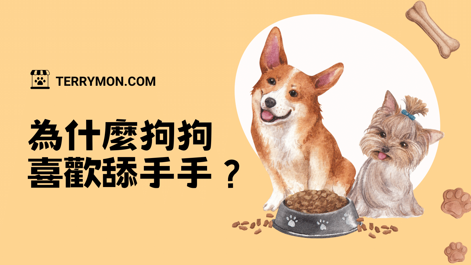 狗狗行為學 ｜為什麼狗狗喜歡舔手手？