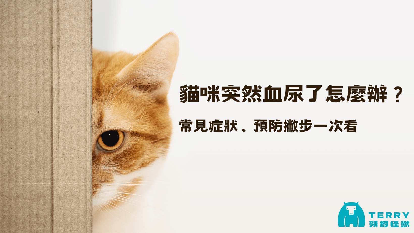 寵物日常｜狗狗洗澡篇