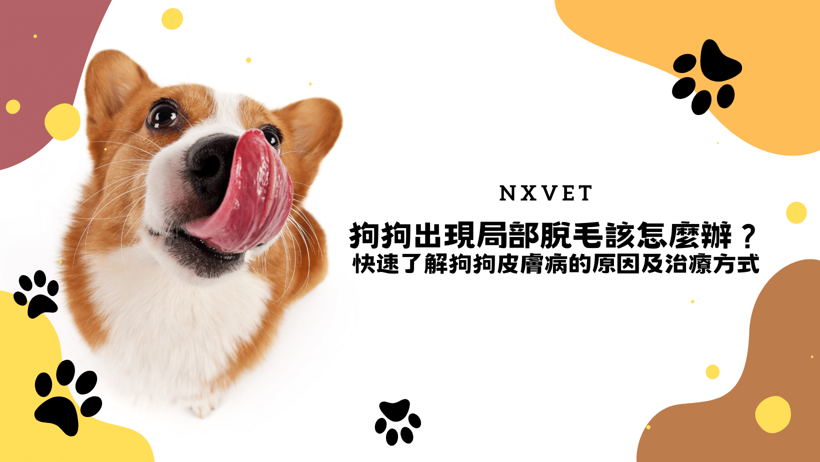 寵物日常｜狗狗發情期