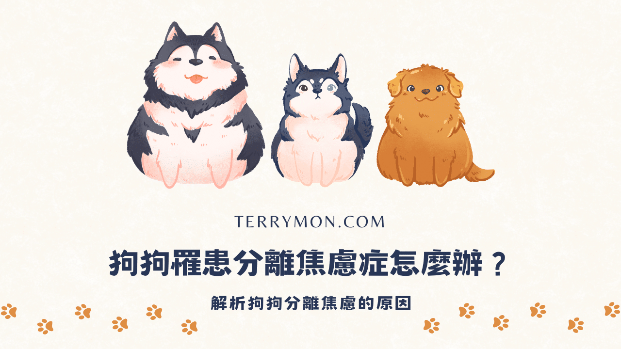 狗狗罹患分離焦慮症怎麼辦？解析狗狗分離焦慮的原因，透過8種方法舒緩毛孩的焦慮緊張感！