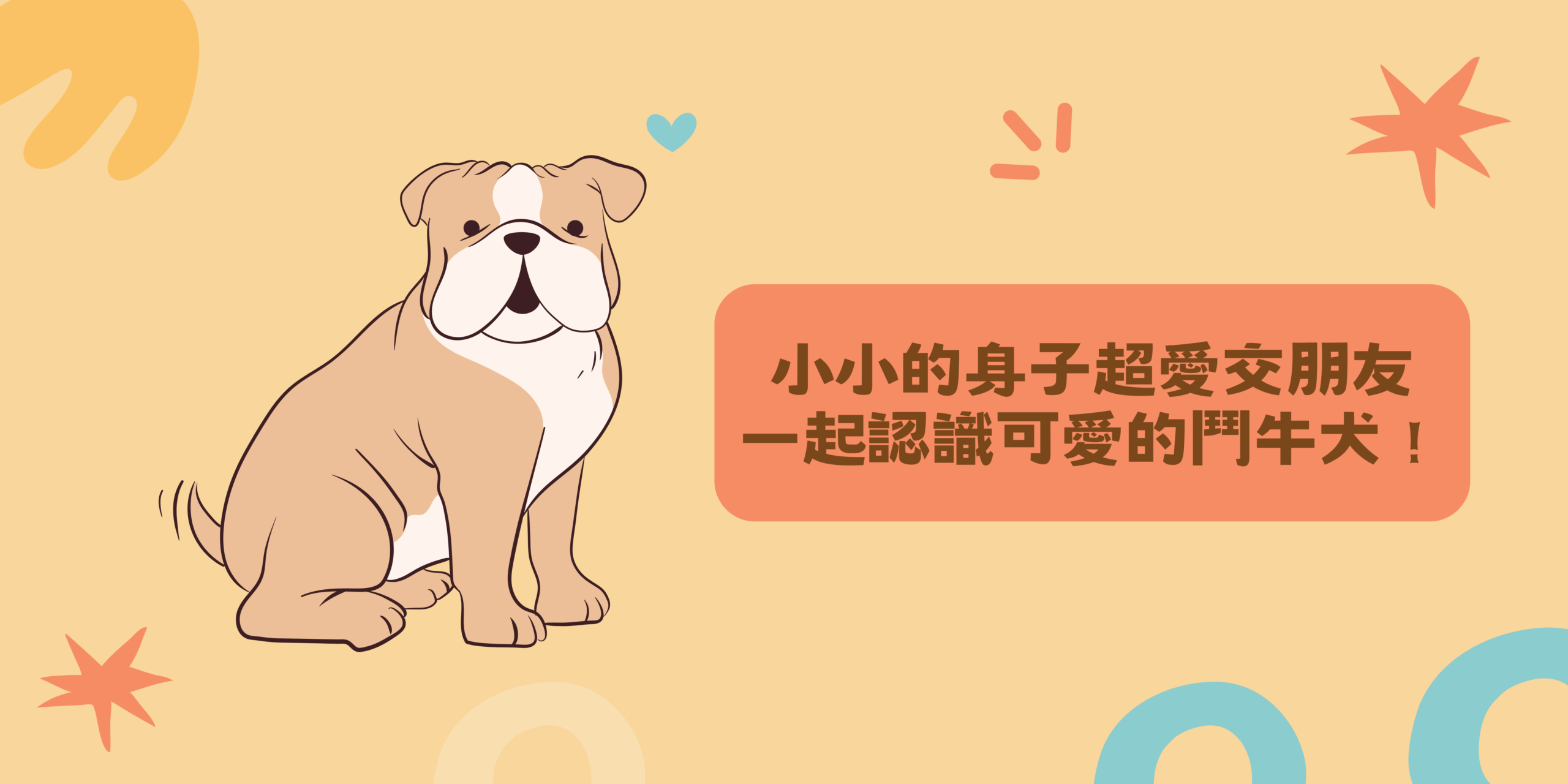 小小的身子超愛交朋友，一起認識鬥牛犬！