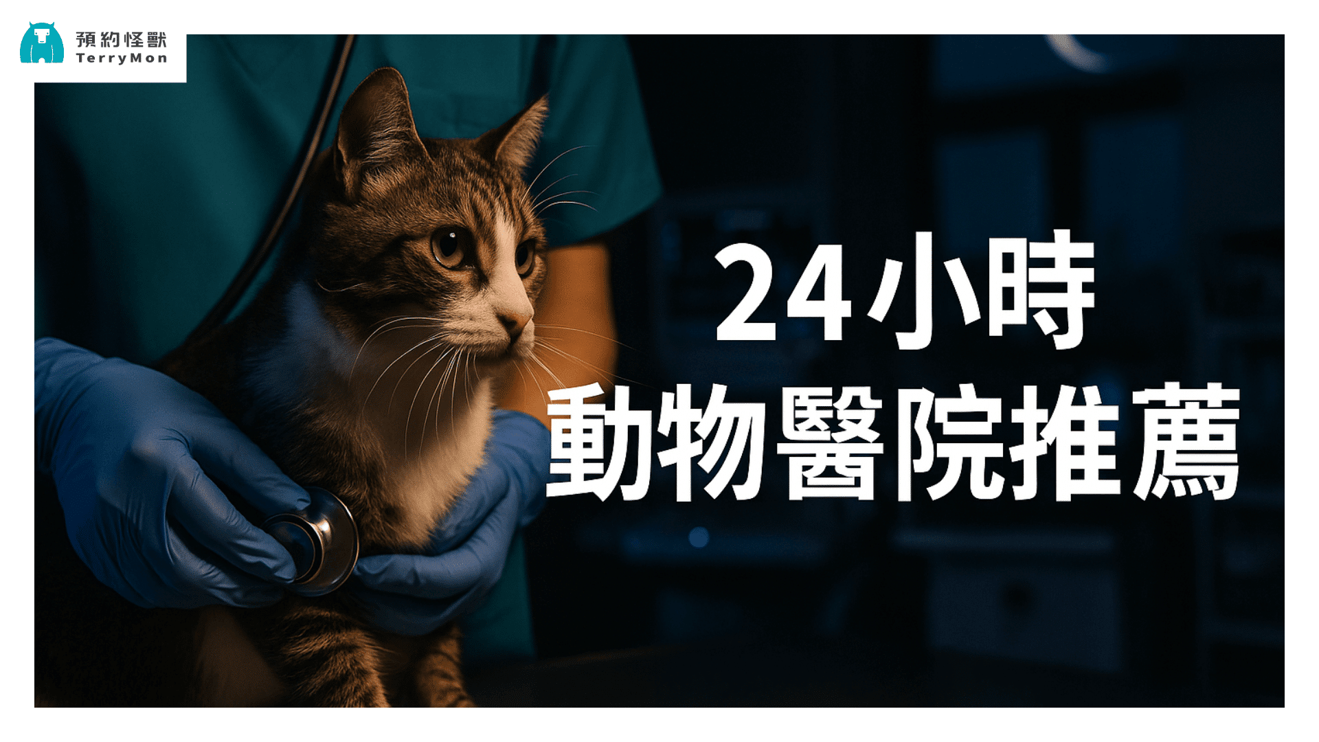 （持續更新）全台 24 小時動物醫院推薦：夜間急診、緊急看診必備清單