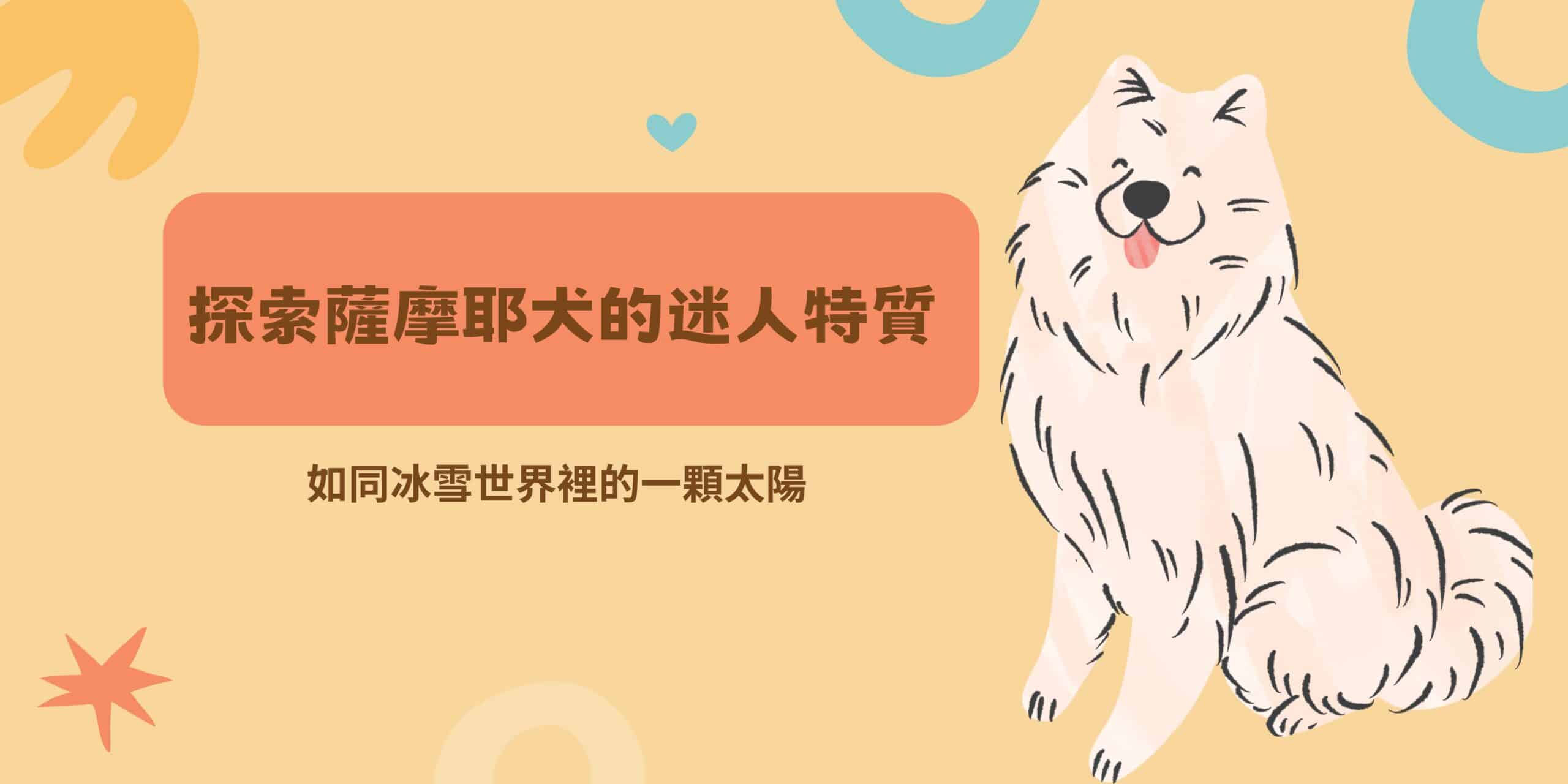 如同冰雪世界裡的一顆太陽：探索薩摩耶犬的迷人特質