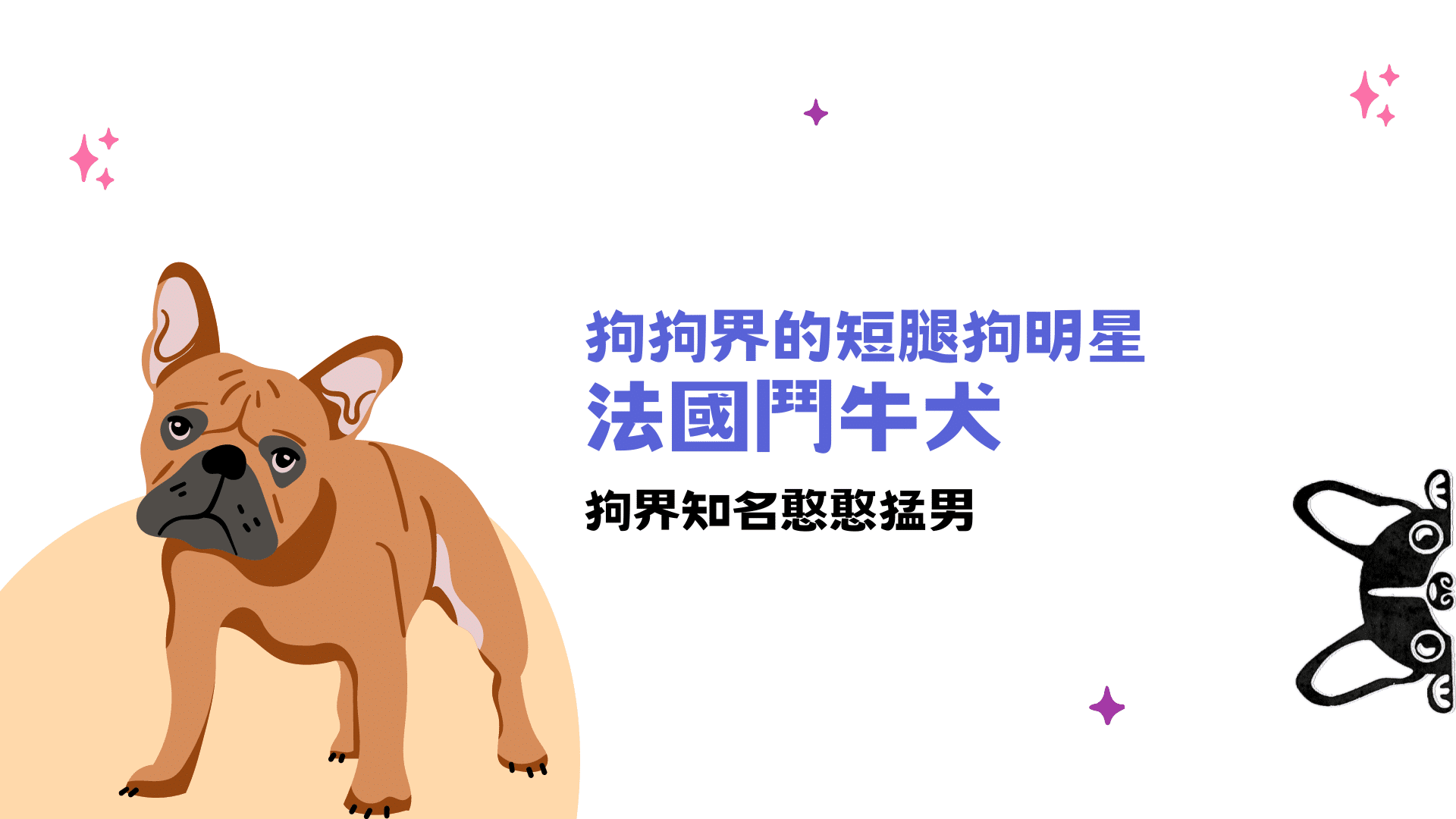 不是來自法國的法國鬥牛犬 – 狗狗界的短腿狗明星