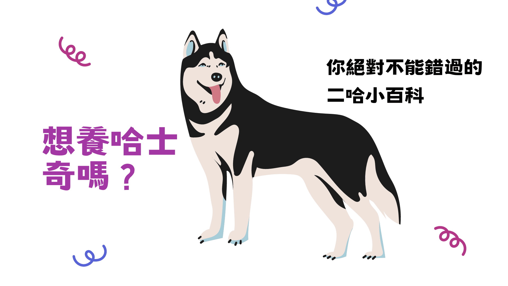 想養哈士奇嗎？絕對不能錯過的二哈百科