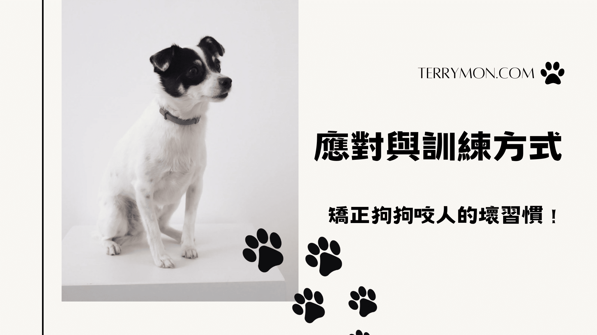 應對與訓練方式，矯正狗狗咬人的壞習慣！