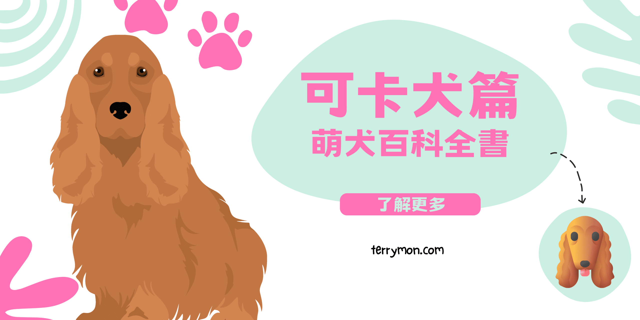萌犬百科全書｜可卡犬篇