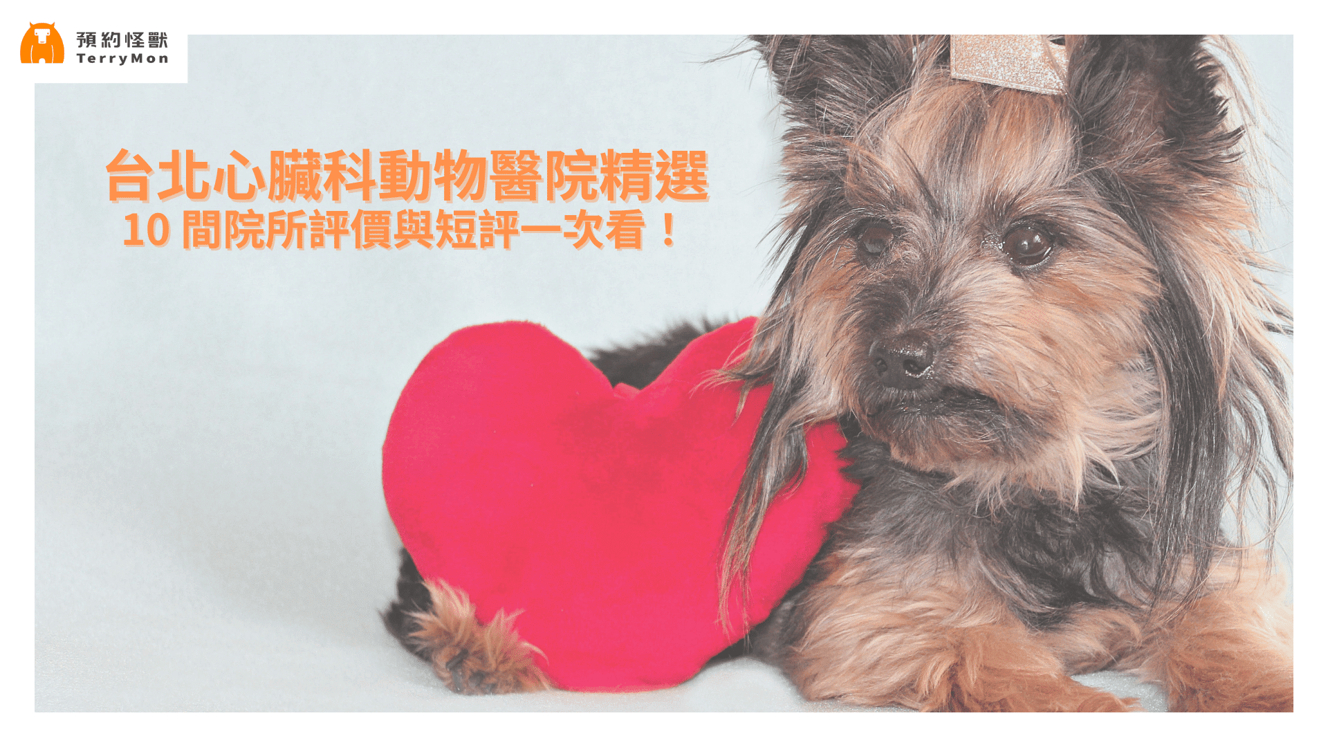 台北寵物心臟專科推薦：精選台北市 10 間心臟科動物醫院
