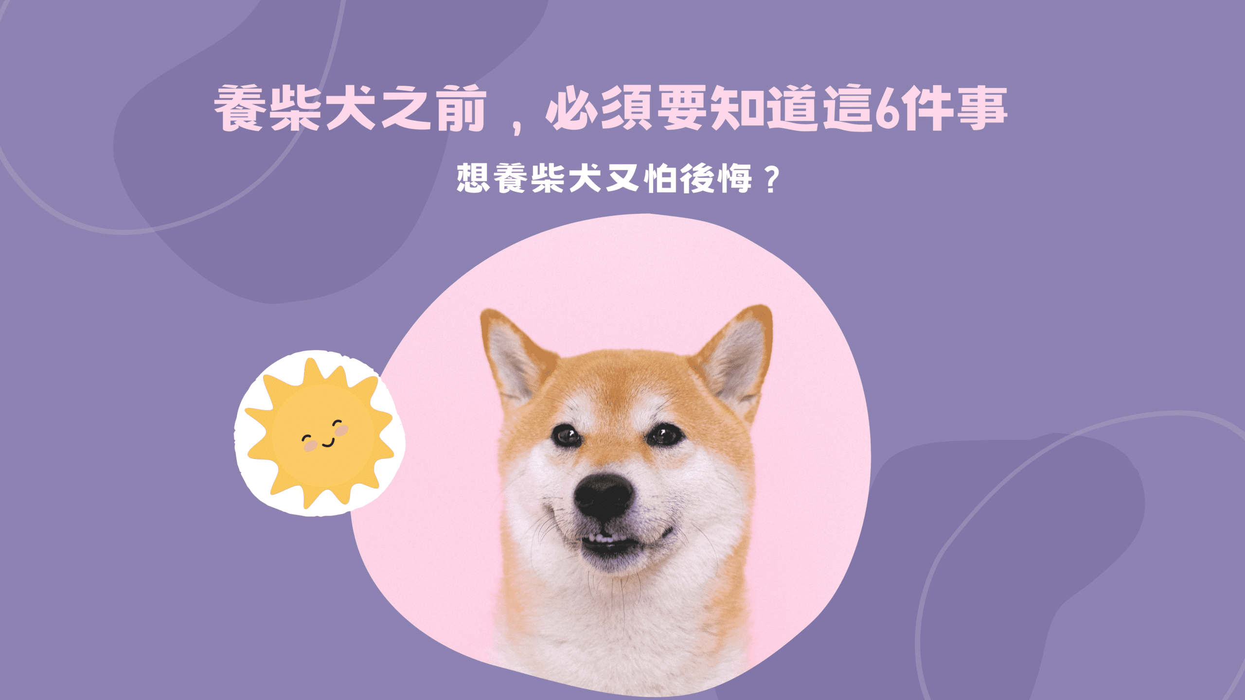 柴犬難搞又固執？了解這 6 點再決定你要不要養牠！