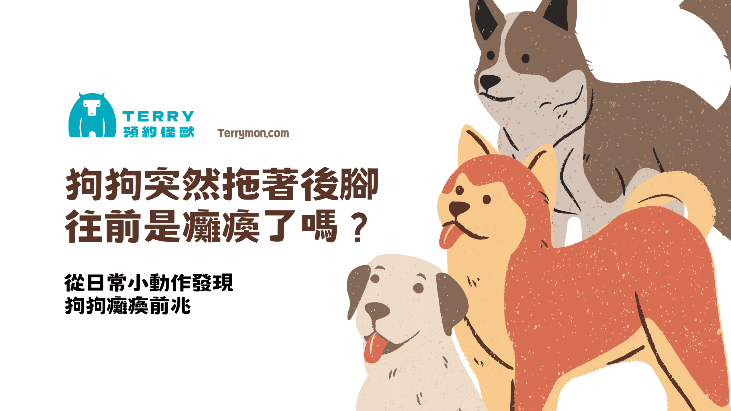 路上超常見的柴犬個性如何？柴犬的種類、優缺點報你知