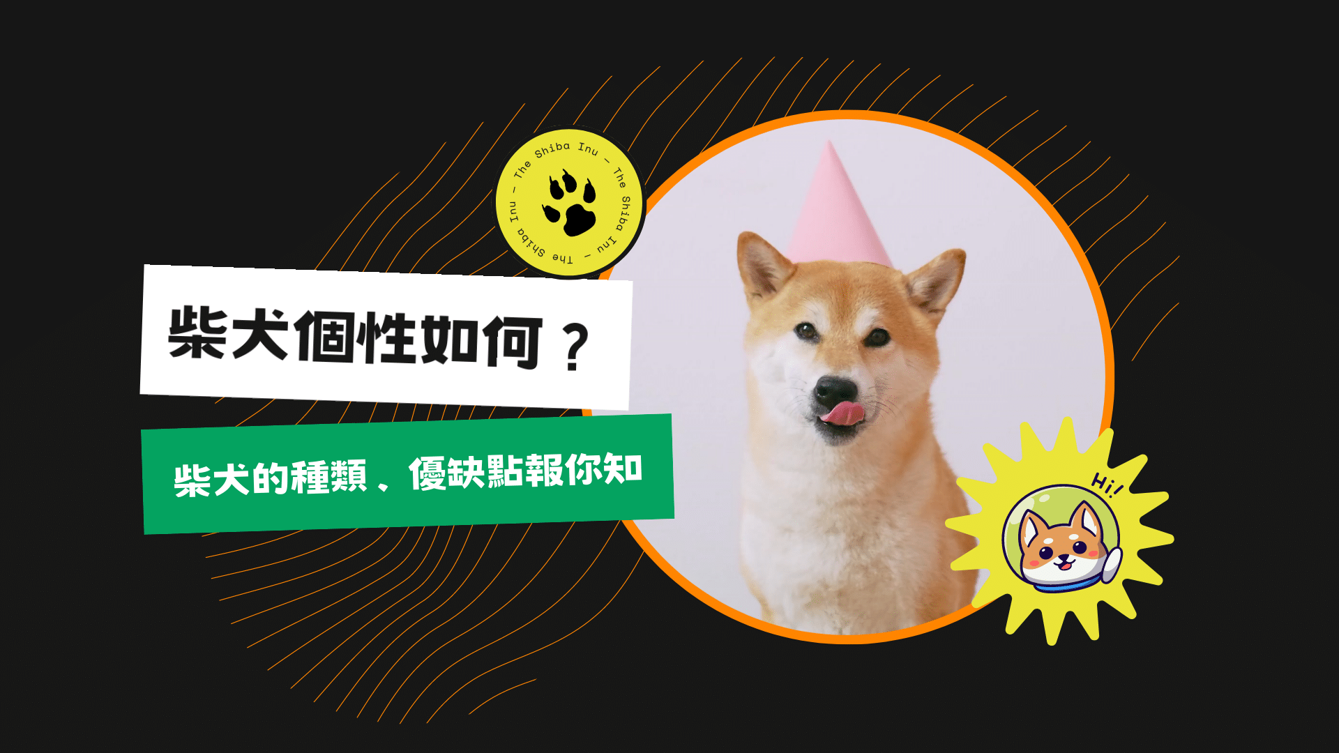 狗狗突然拖著後腳往前是癱瘓了嗎？從日常小動作發現狗狗癱瘓前兆