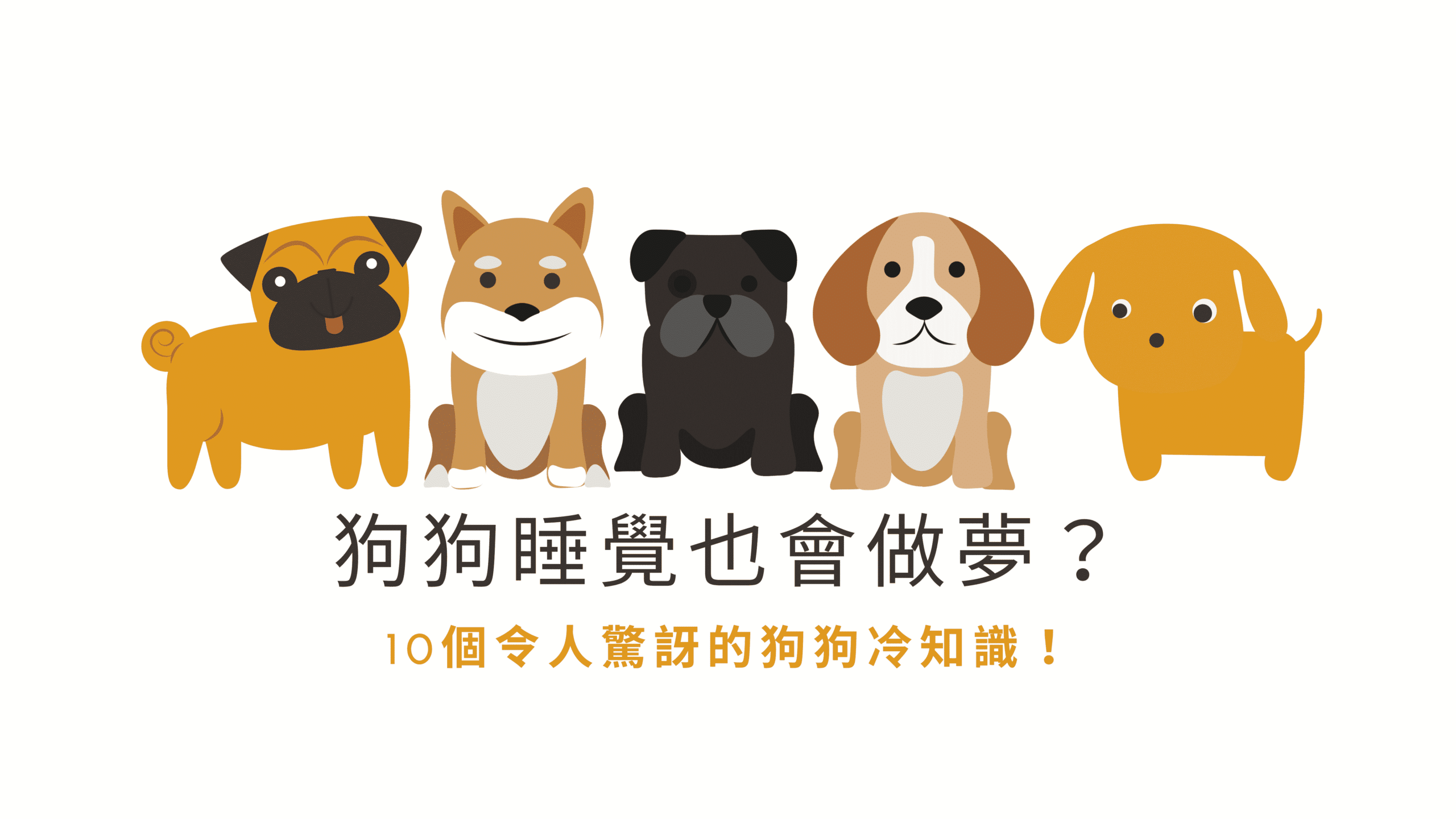 狗狗睡覺也會做夢？10個令人驚訝的狗狗冷知識！