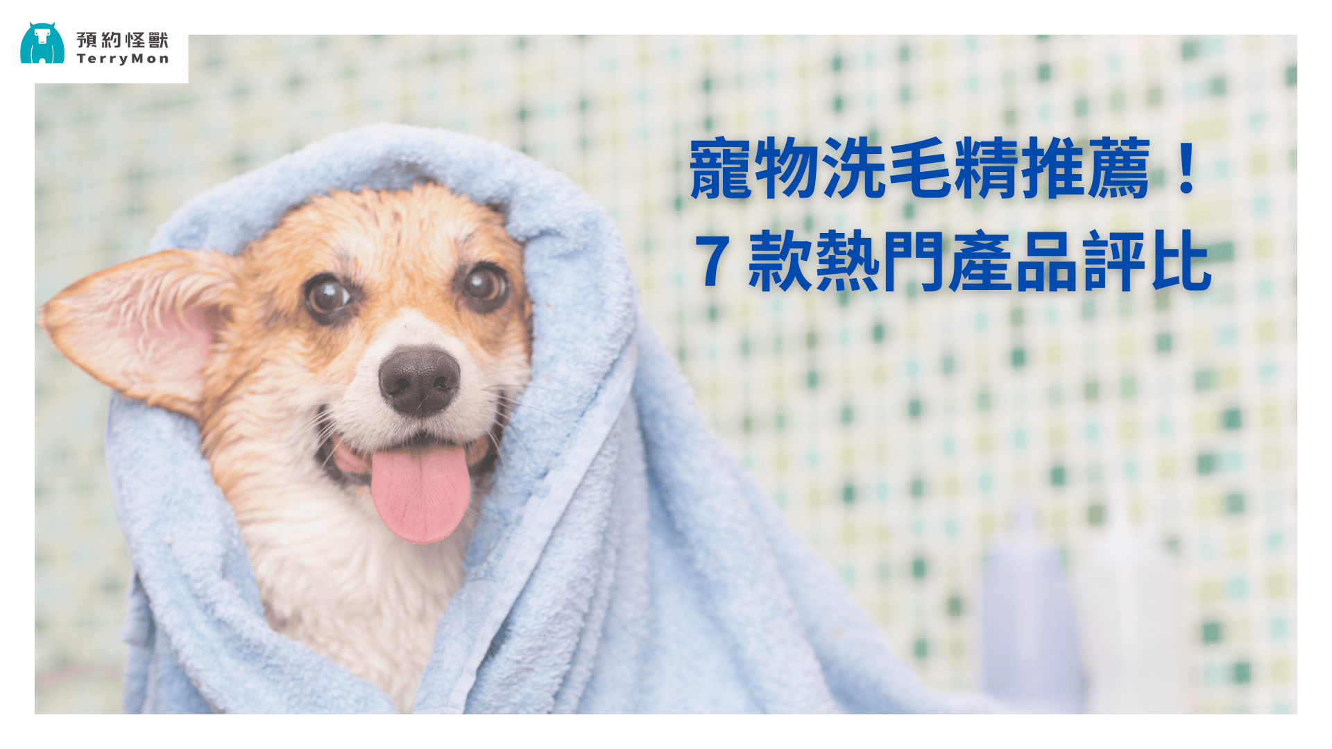 【2025 寵物洗毛精推薦】寵物洗毛精怎麼選？評比 7 款熱門洗毛精！