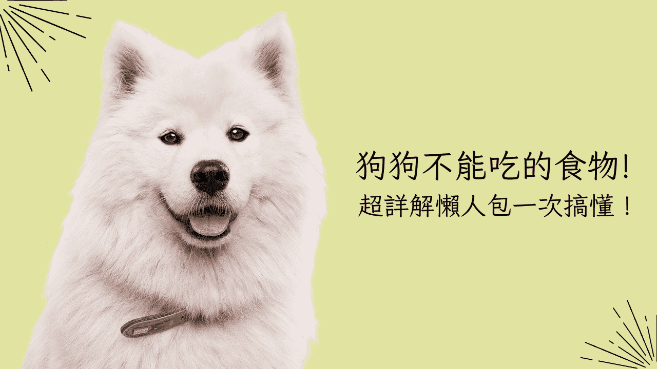 狗狗不能吃的食物｜超詳解懶人包一次搞懂！