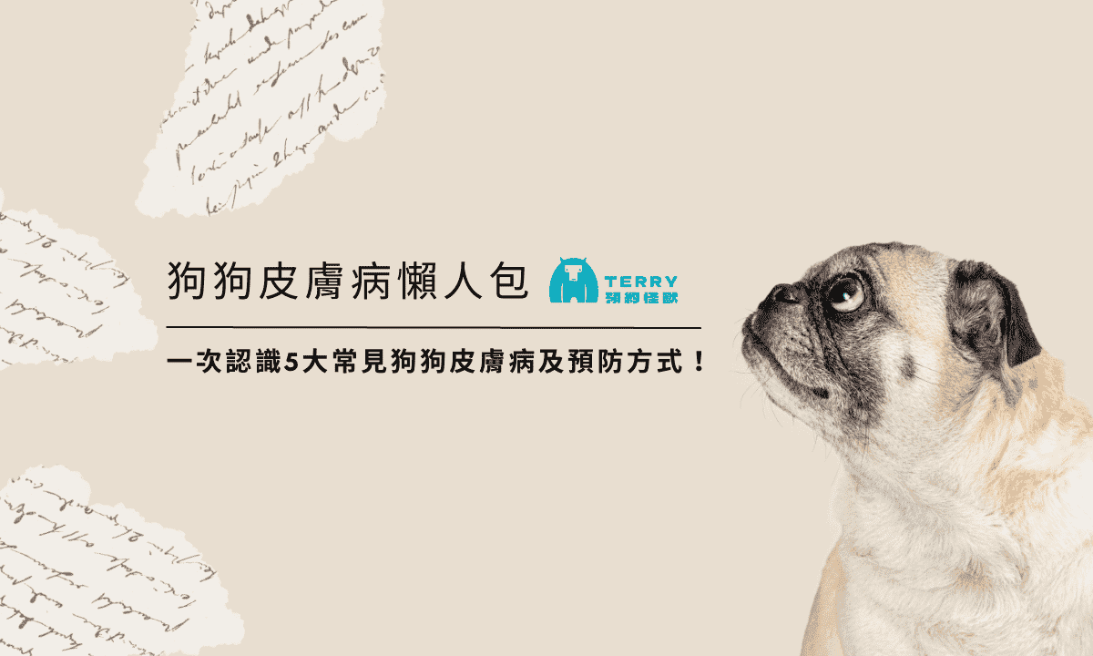狗狗皮膚病大全！一次認識5大常見狗狗皮膚病及預防方式！