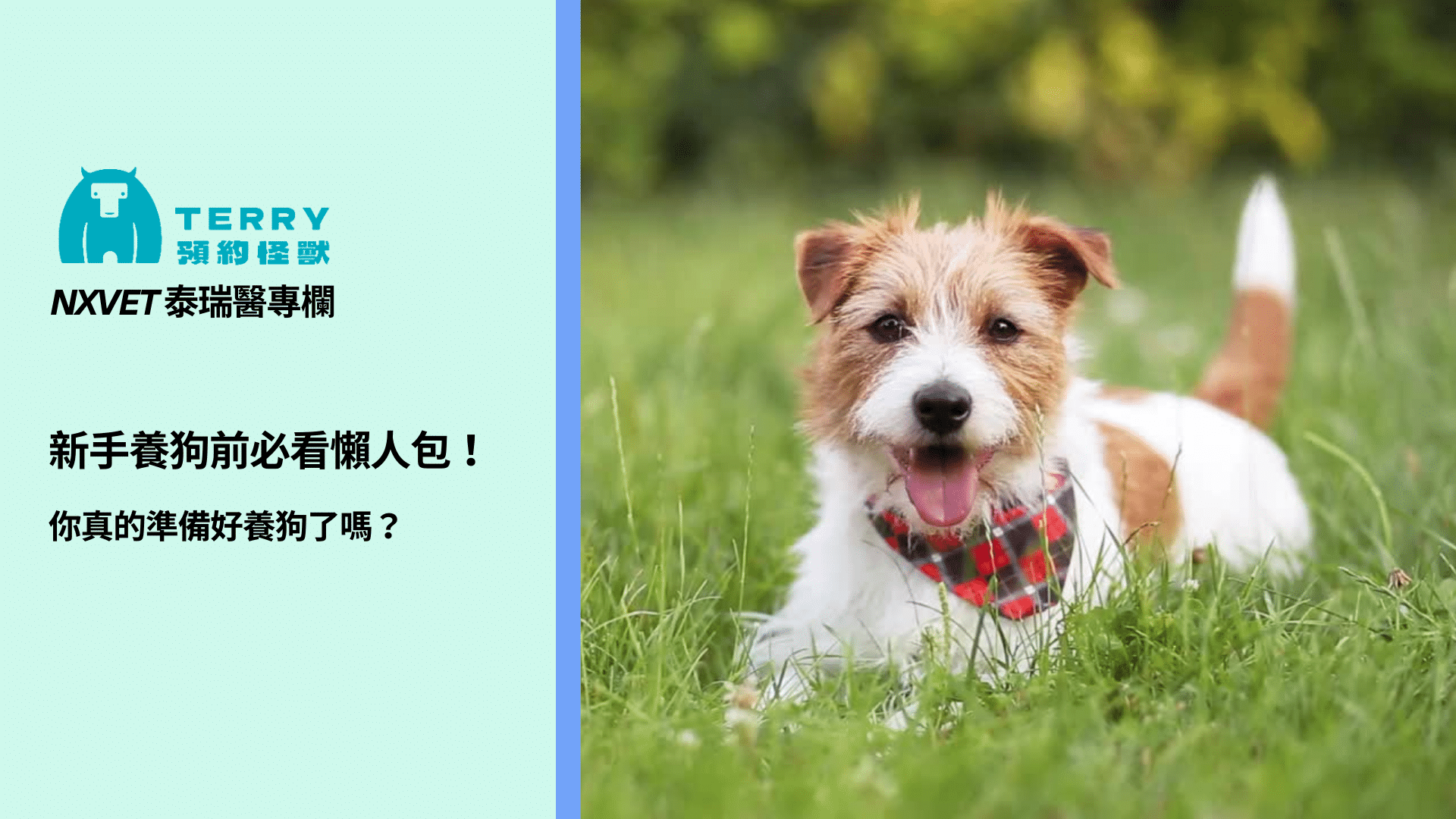 你真的準備好養狗了嗎？新手養狗前必看懶人包！