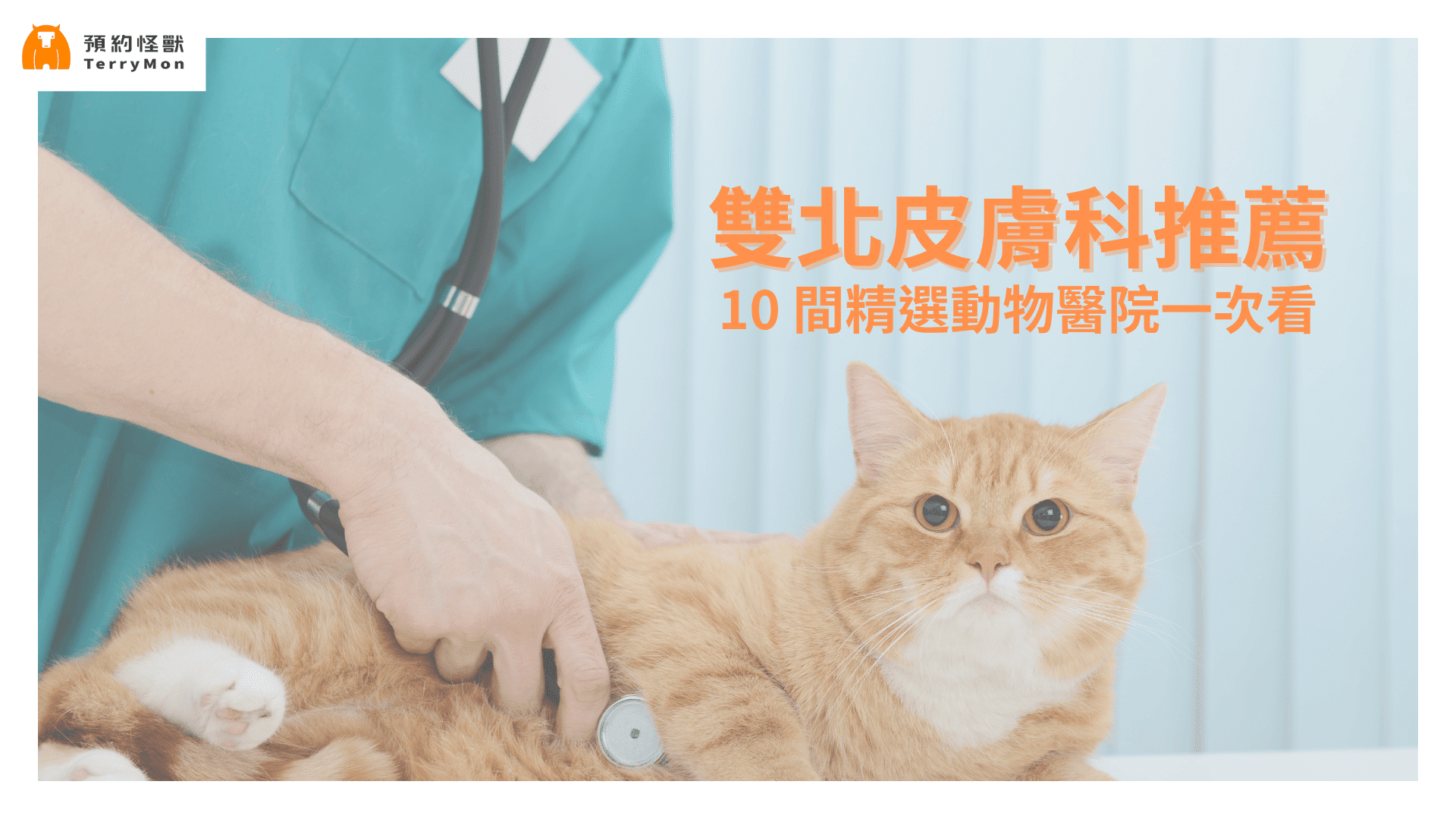 雙北寵物皮膚科推薦：台北市與新北市 10 間皮膚科動物醫院整理