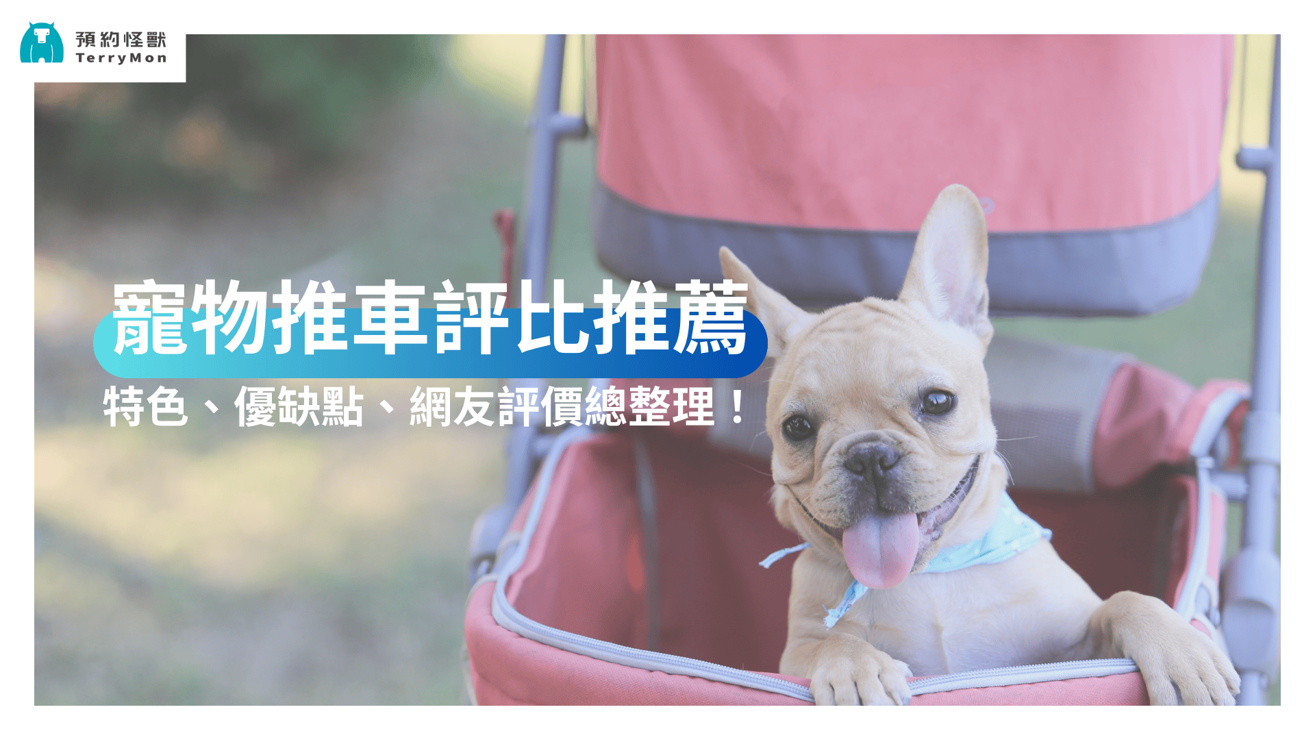 【2025 最新】熱門寵物推車推薦：特色、優缺點、網友評價總評比！