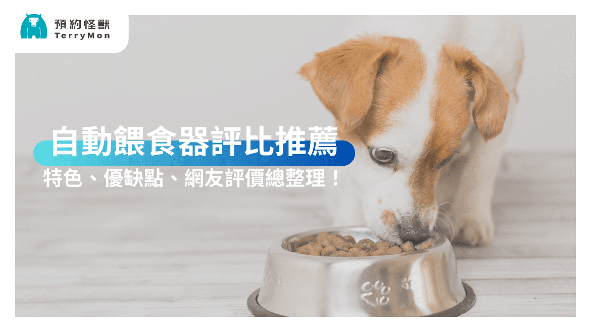 【2025 最新】熱門寵物自動餵食器推薦：特色、優缺點、網友評價總評比！