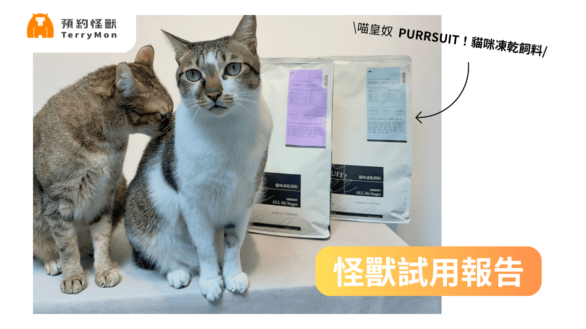 【怪獸試用報告】喵皇奴 PURRSUIT! 貓咪凍乾：營養與美味兼具的全新選擇✨