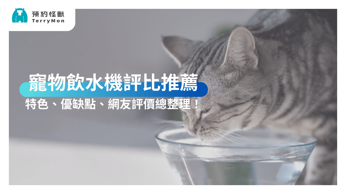 【2025 最新】熱門寵物飲水機推薦：特色、優缺點、網友評價總評比！