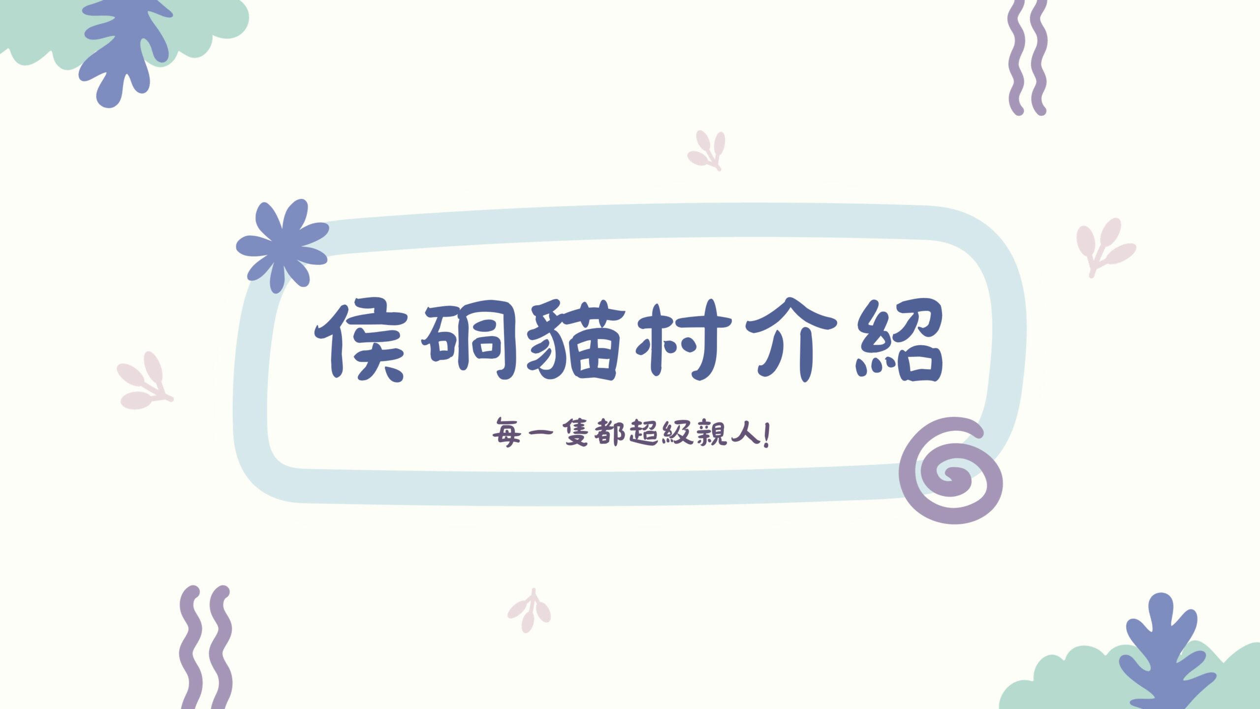 寵物景點｜新北猴硐貓村篇