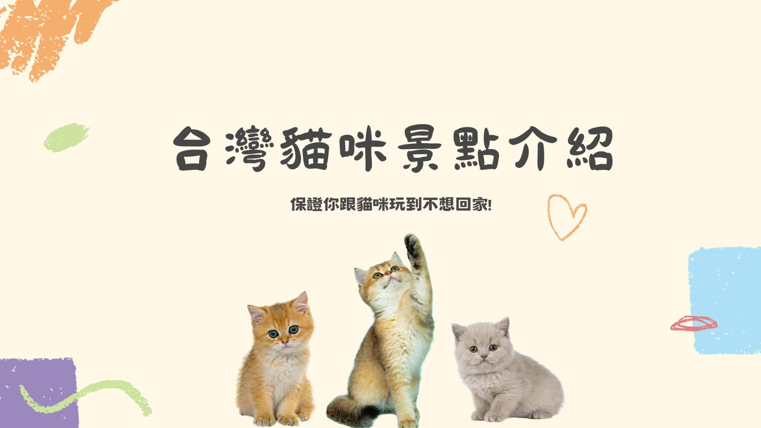 全台熱門貓咪景點報你知！ 貓奴們私藏的貓咪遊樂園都在哪？
