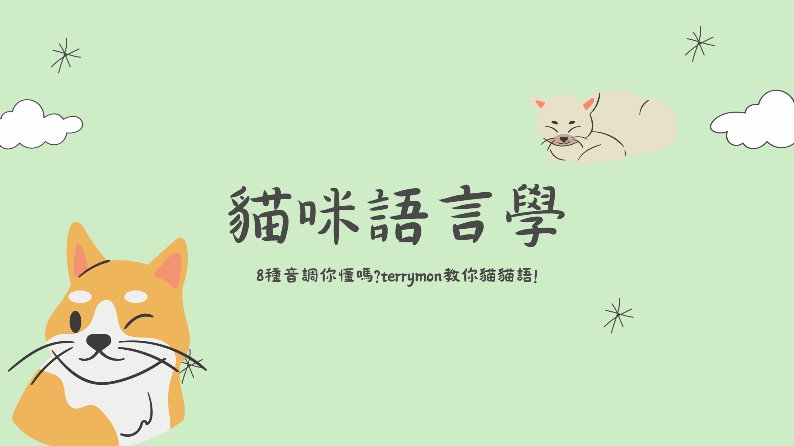 貓咪在說什麼？學會這幾種貓叫聲，讓你變成貓咪語言博士