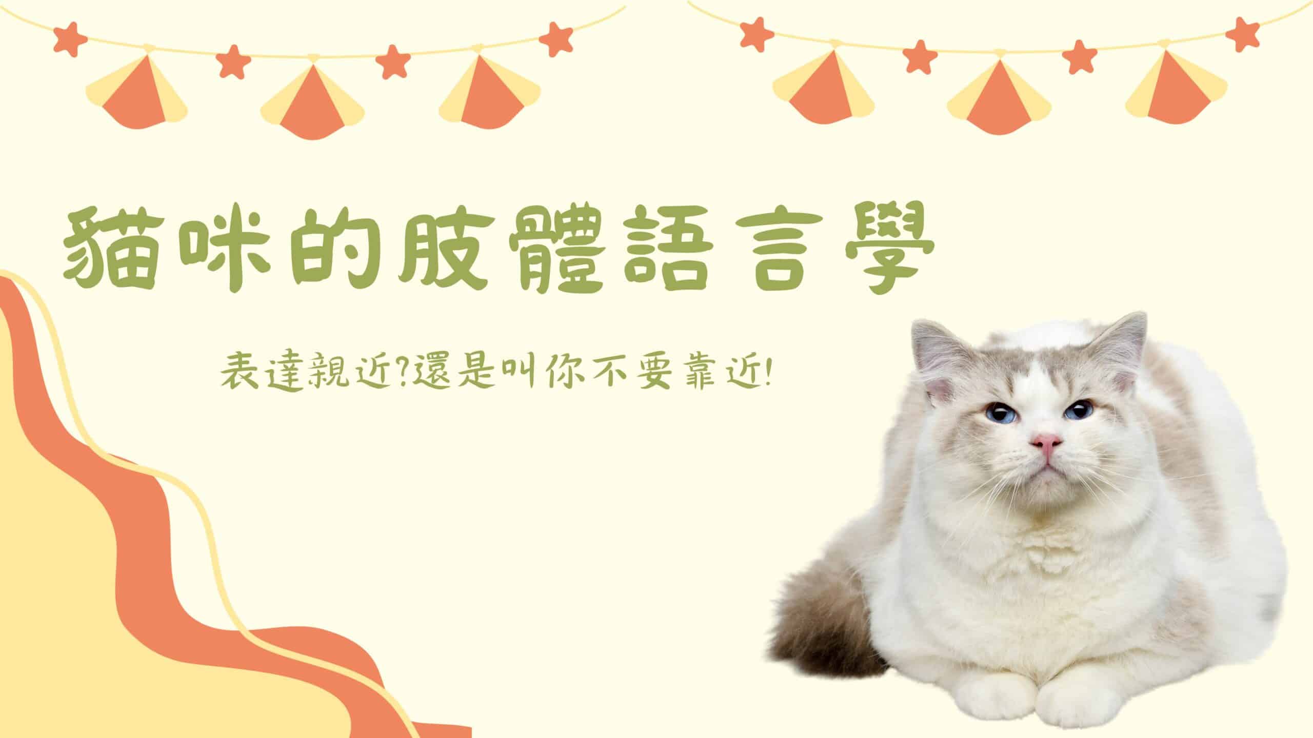 看懂貓咪的姿勢和心理狀態！剖析18種貓咪的肢體語言