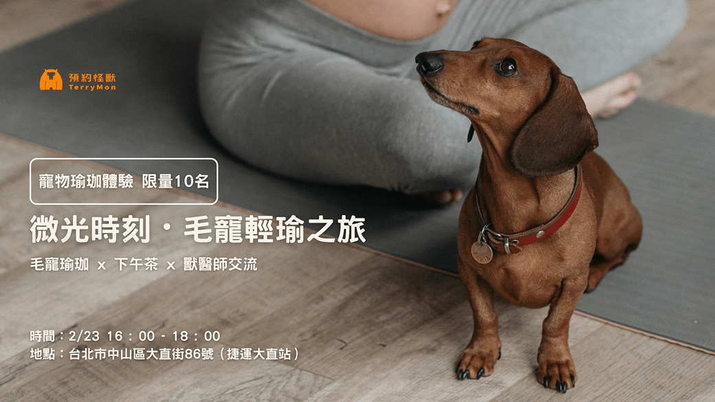 TerryMon 寵物瑜伽Ｘ獸醫師交流茶會｜微光時刻・毛寵輕瑜之旅