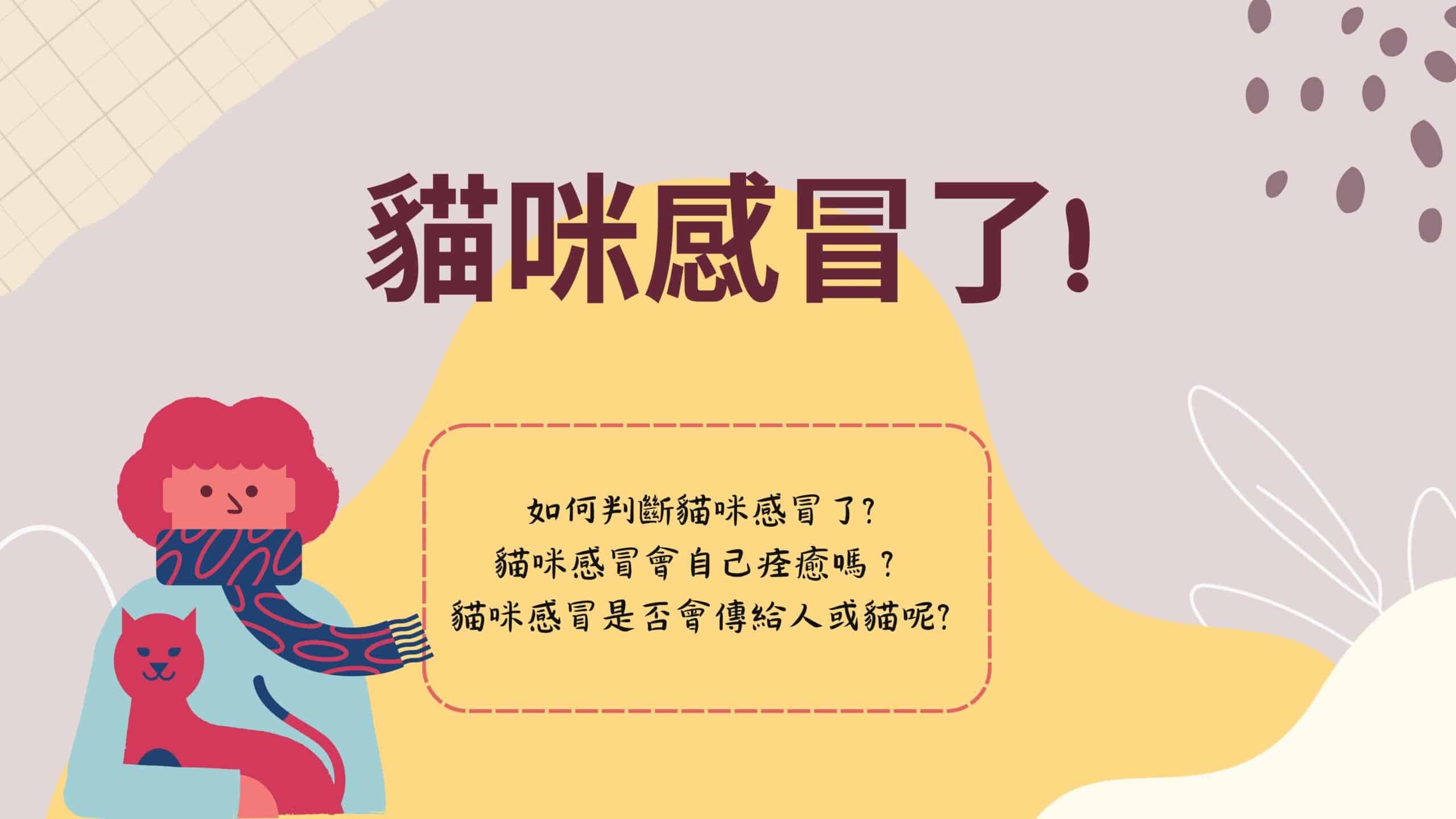 9 大貓咪感冒症狀！如何預防與照護一次看懂
