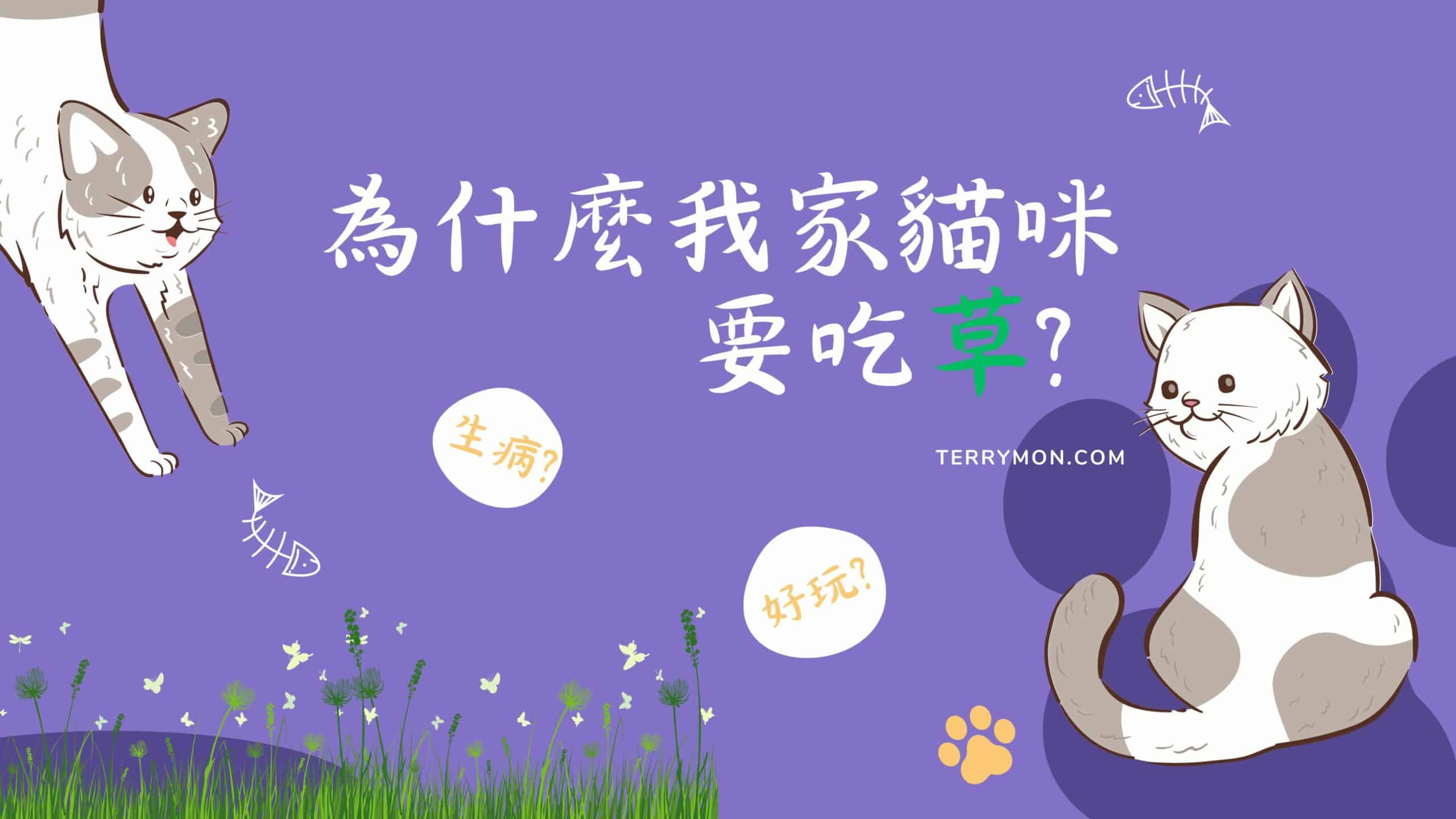 寵物日常｜貓咪吃草篇